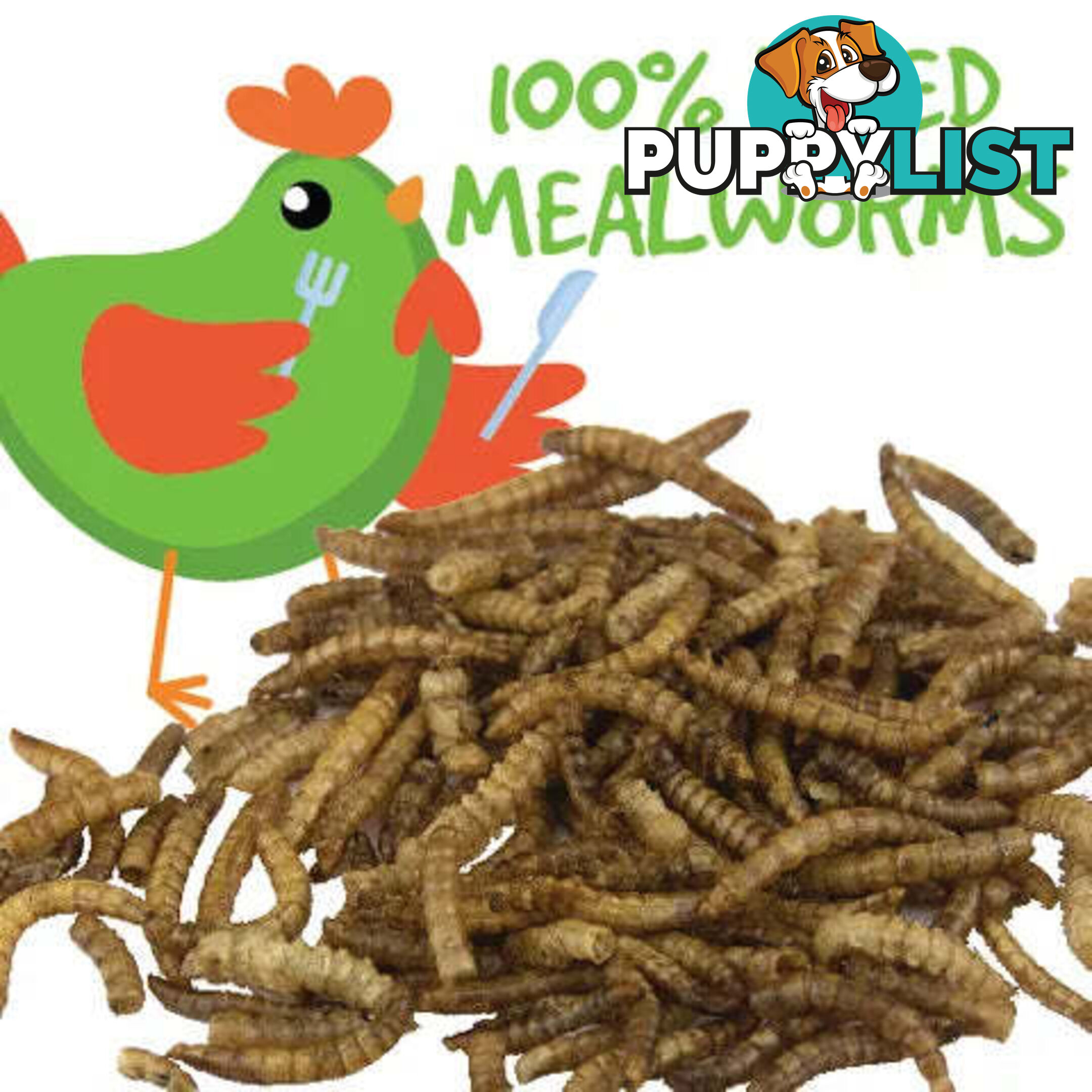 DRIED MEALWORMS - BAINBRIDGE - BB-A8453