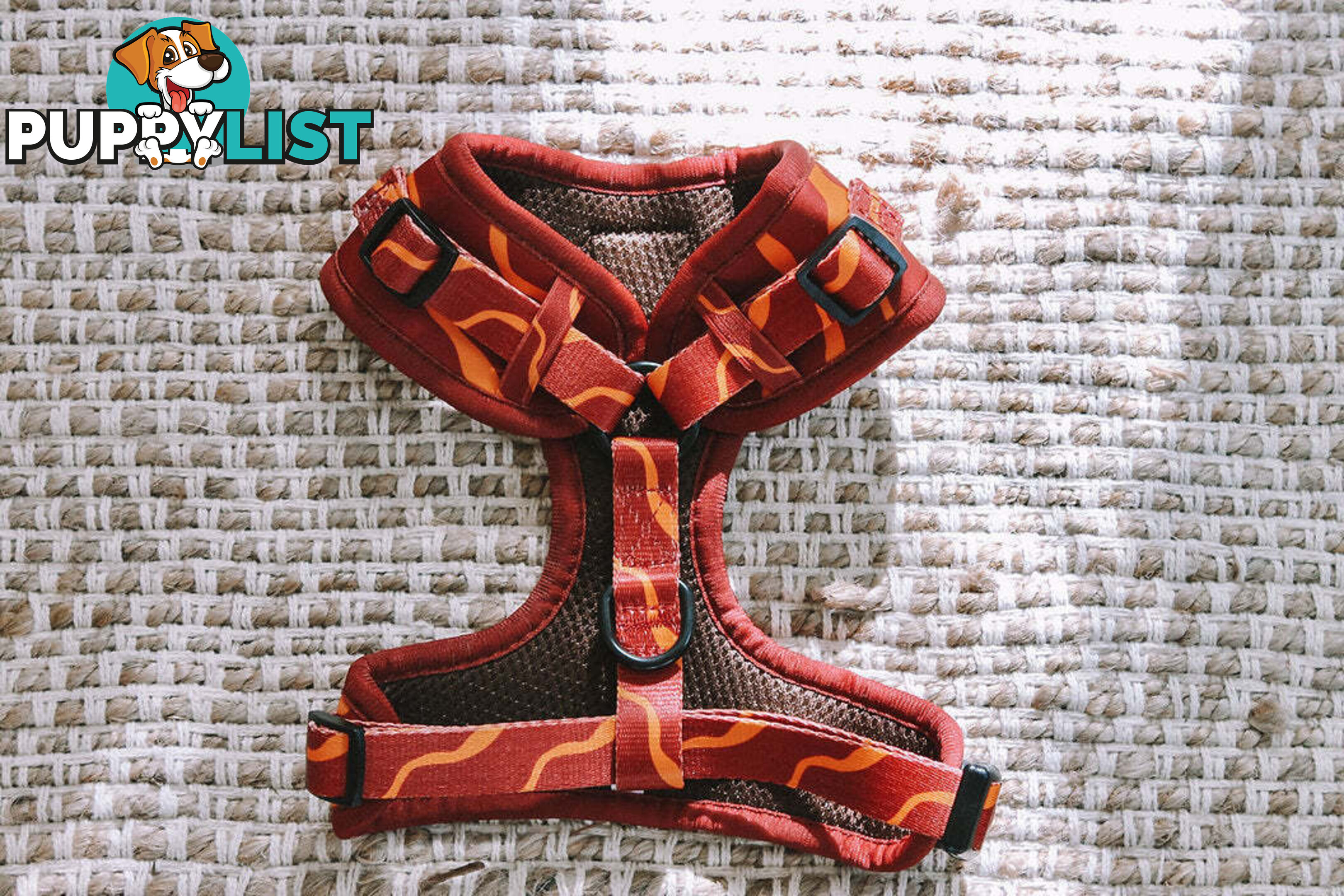 Designer Dog Harness by Explore with Paws - EWPHARCROXSN