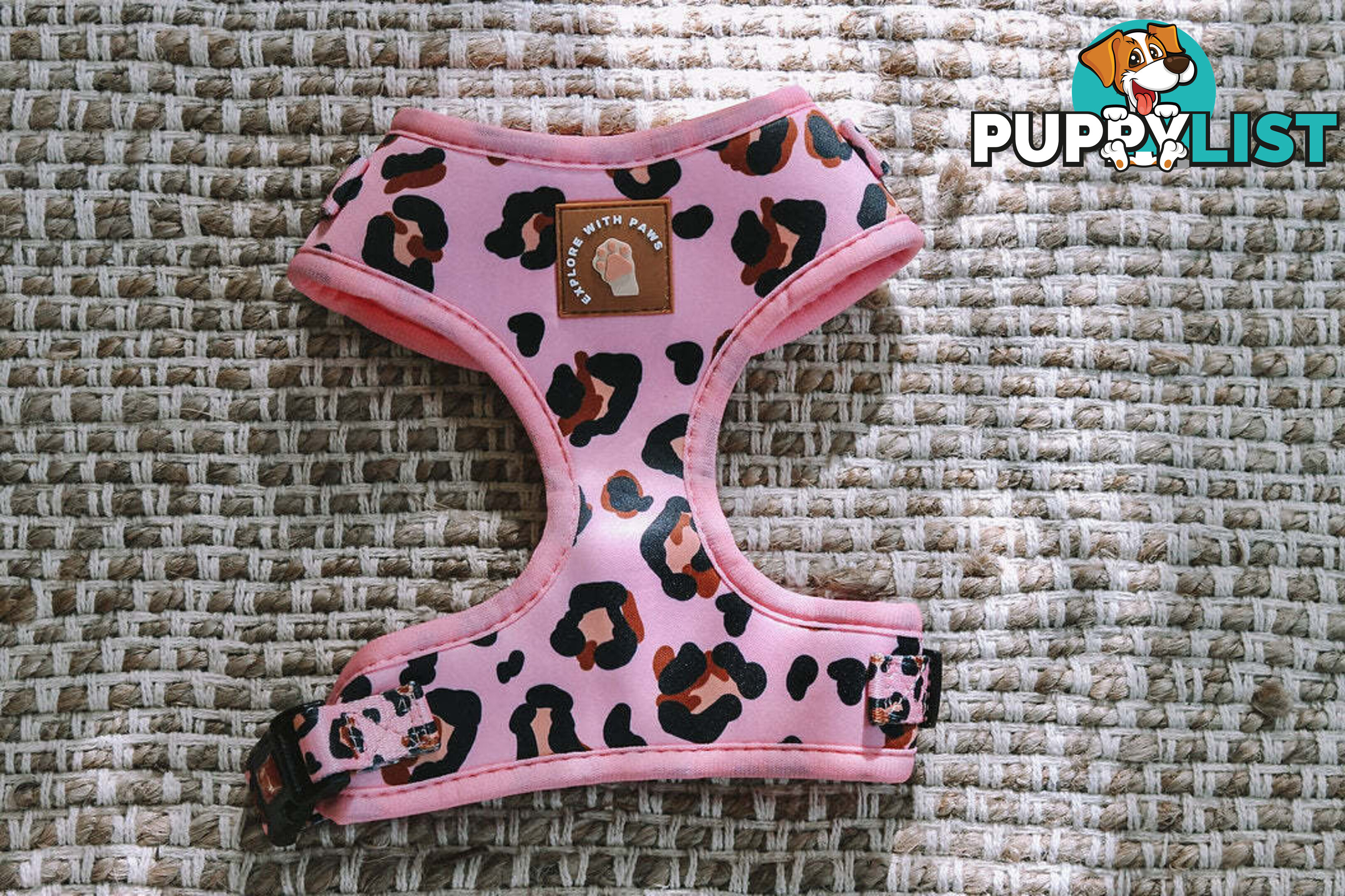 Designer Dog Harness by Explore with Paws - EWPHARCROXSN