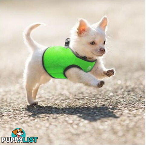 Doggie ID Vest Soft Air Mesh Personlised Embroidered - MDPIDVESSGRN