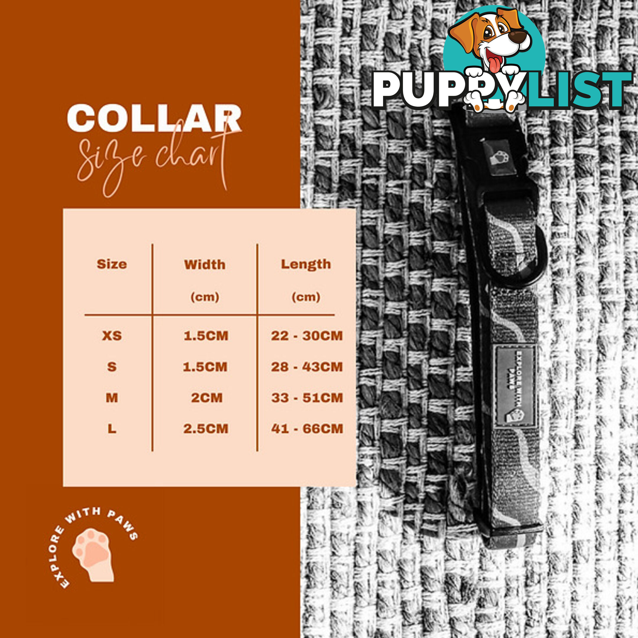 Designer Dog Collars by Explore with Paws - EWPCOLLLEON