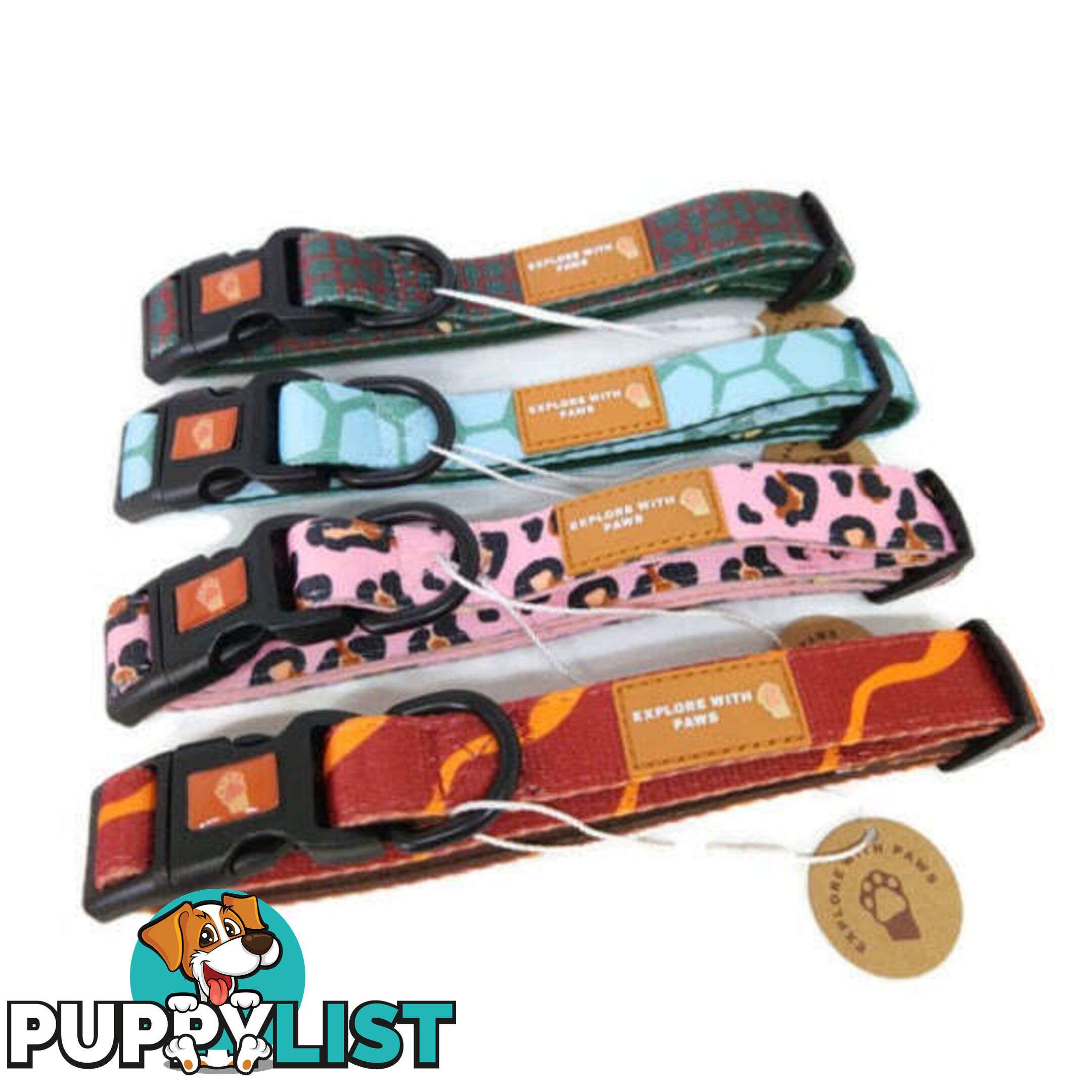 Designer Dog Collars by Explore with Paws - EWPCOLLLEON