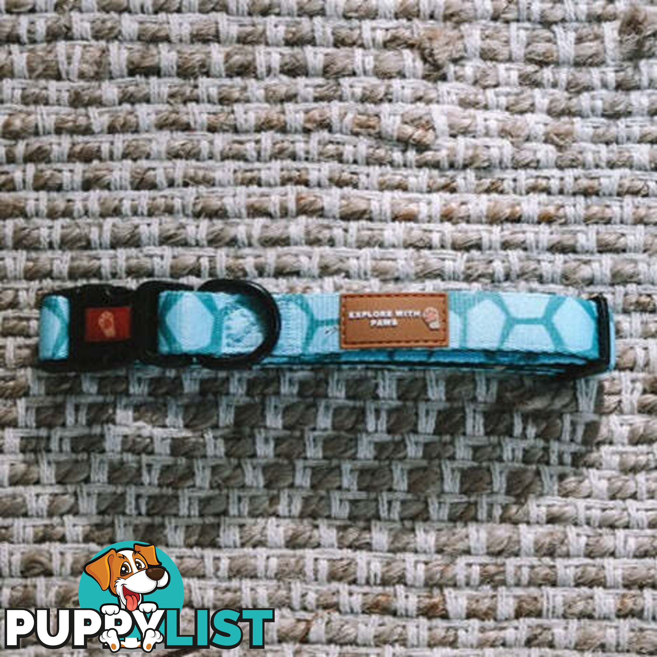 Designer Dog Collars by Explore with Paws - EWPCOLLLEON