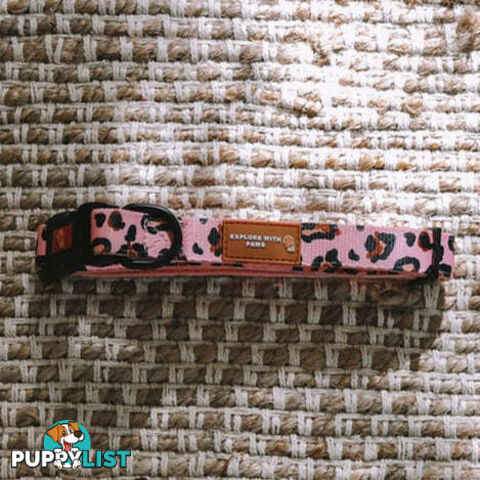 Designer Dog Collars by Explore with Paws - EWPCOLLLEON