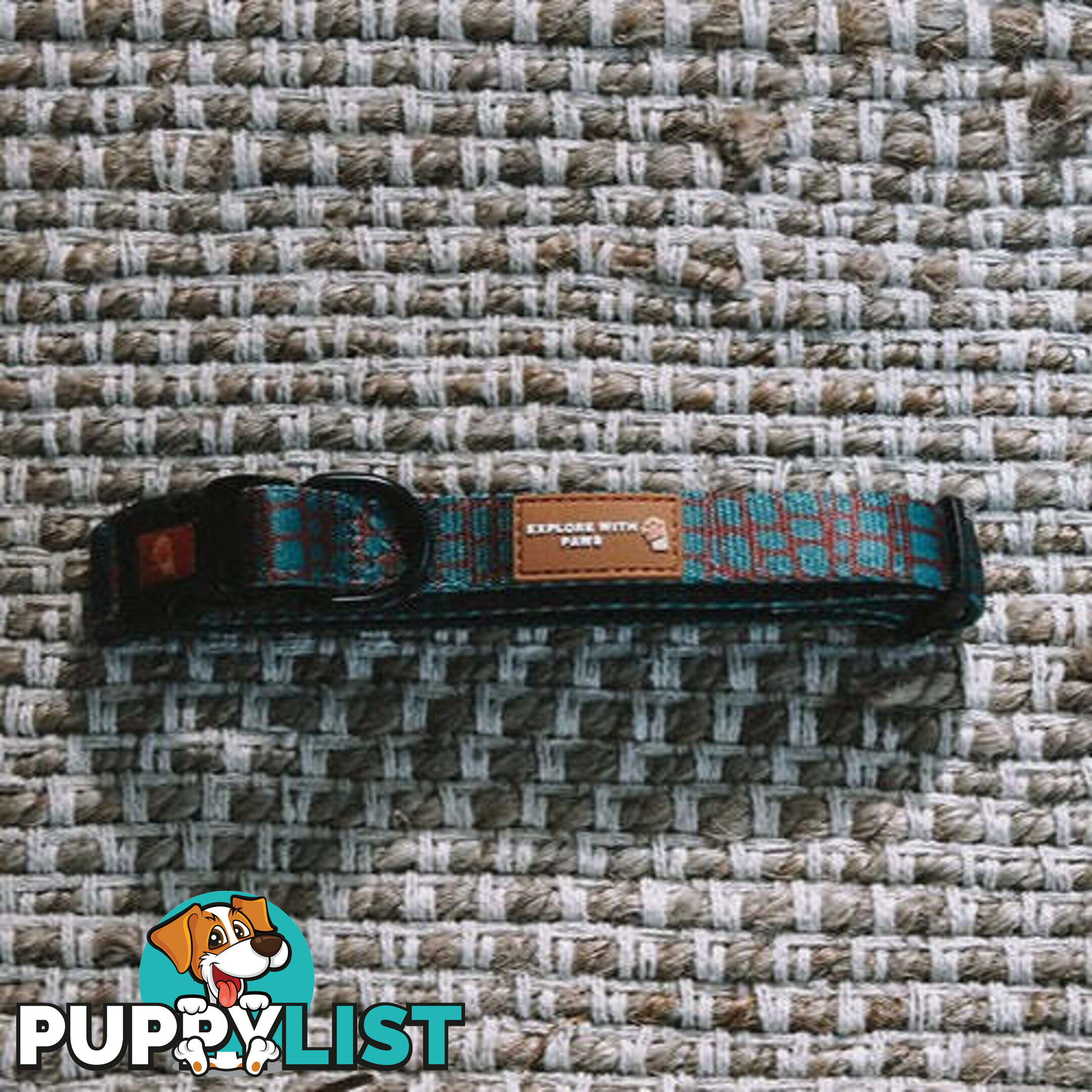 Designer Dog Collars by Explore with Paws - EWPCOLLLEON