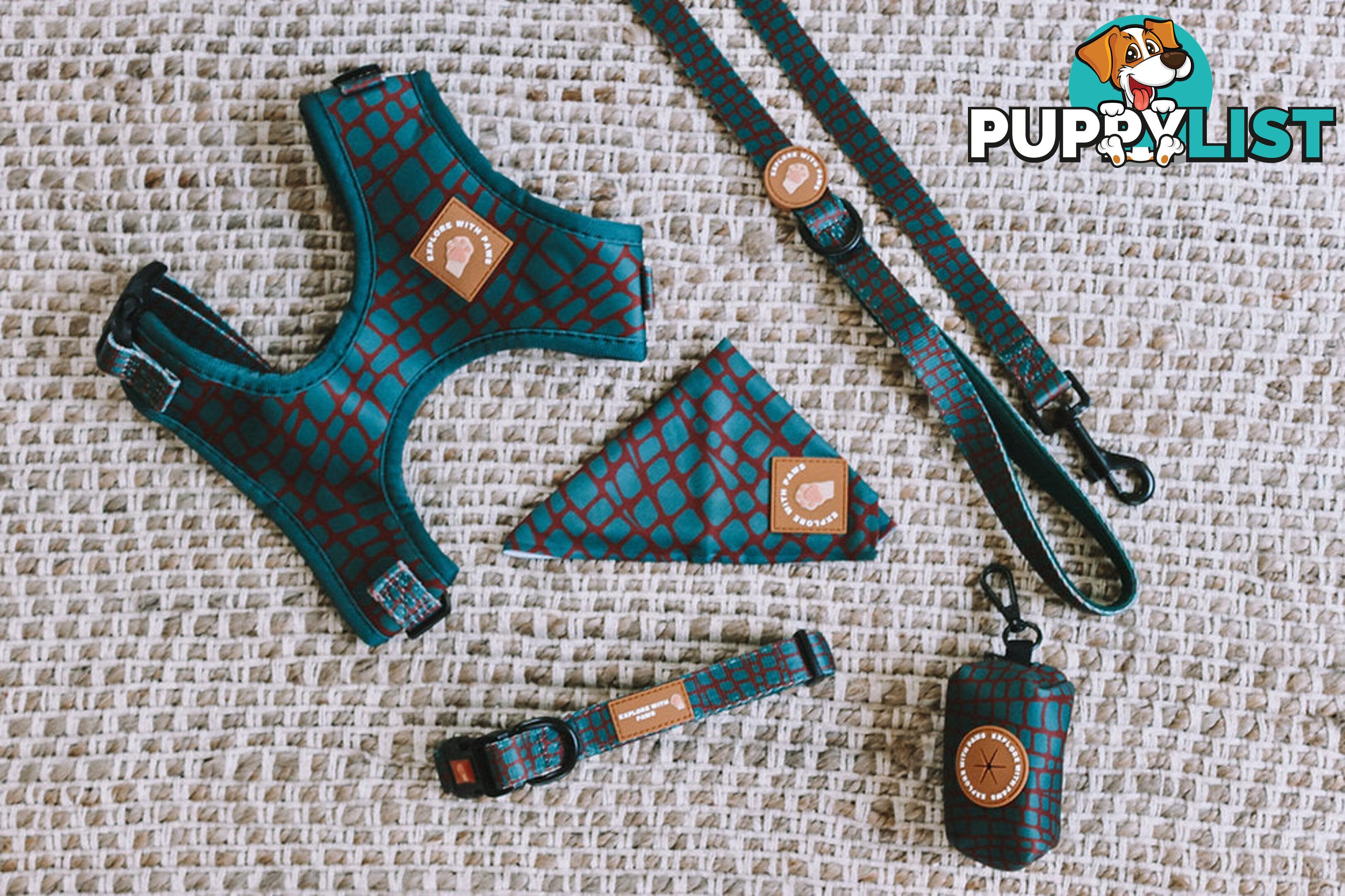 Designer Dog Collars by Explore with Paws - EWPCOLLLEON