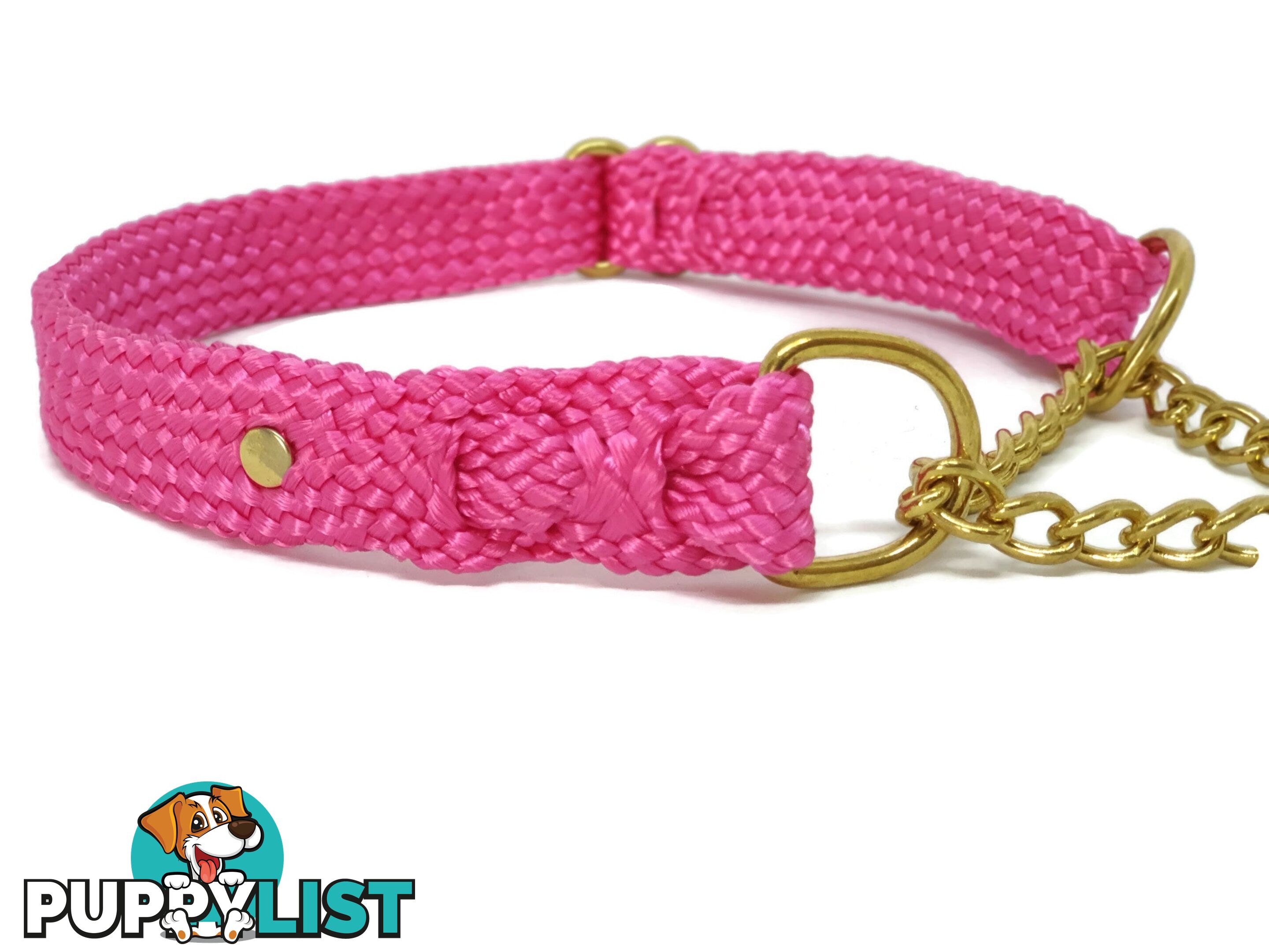 Martingale Dog Collars No Stitching Tough Yarnix - YNXCOLMARM10BLU
