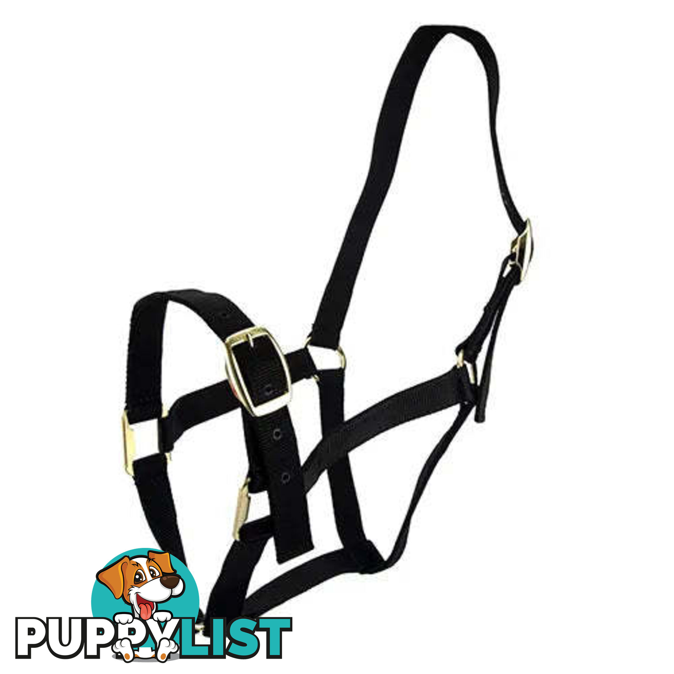 Click to Enlarge HORSE HALTERS - BAINBRIDGE - BB-A2196-BLK