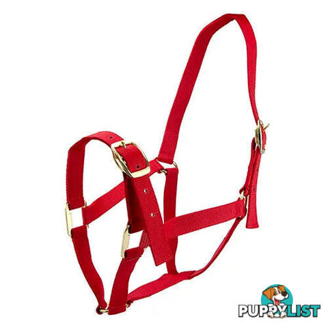 Click to Enlarge HORSE HALTERS - BAINBRIDGE - BB-A2196-BLK