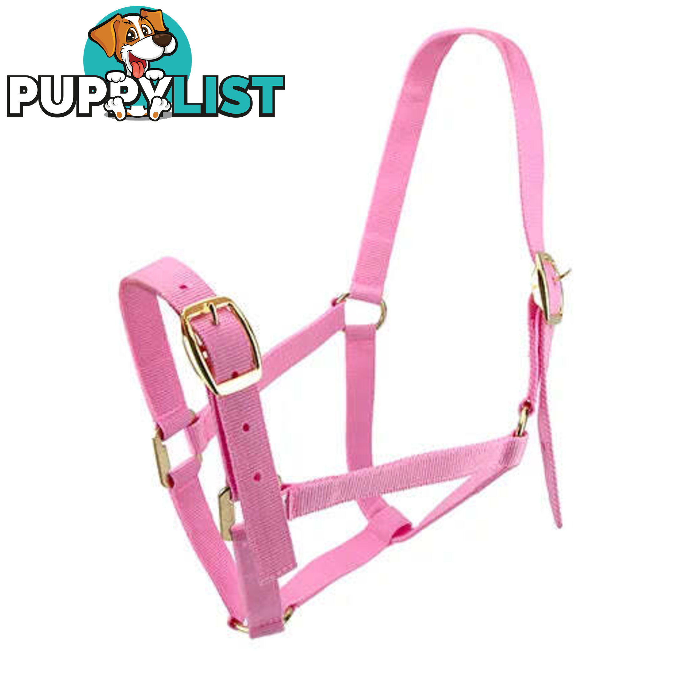 Click to Enlarge HORSE HALTERS - BAINBRIDGE - BB-A2196-BLK