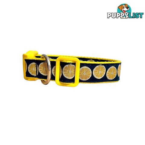 Lemon Dog Collar / XS - L - Hand Made by The Bark Side - TBSLEMXS