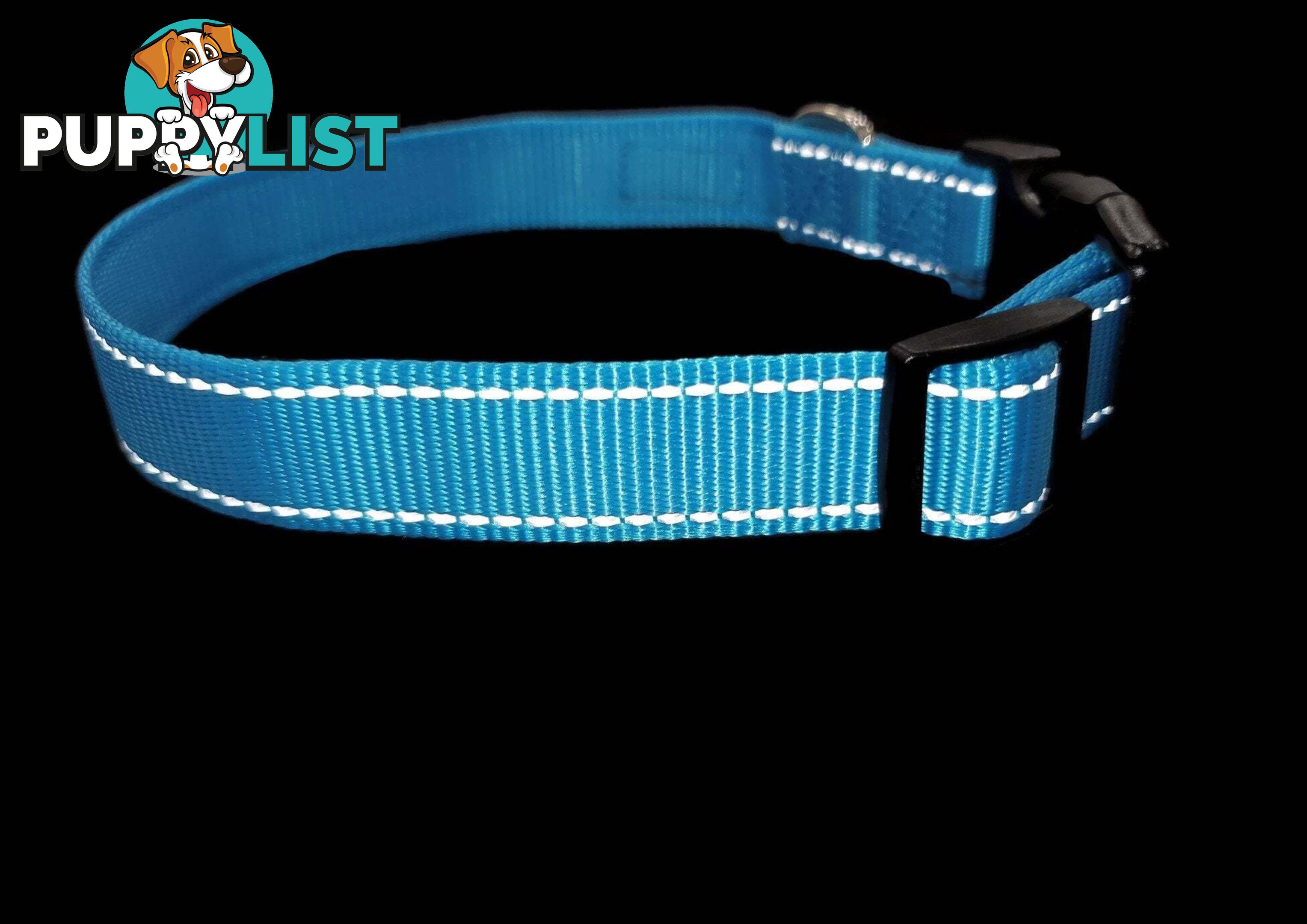 Nylon w/Reflective Stitching Dog Collar - Moondidley Pets - MDPCOLREFXSPUR