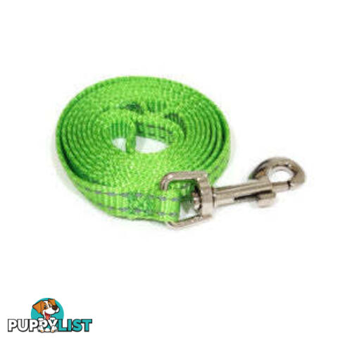 Lead Puppy / Cat Reflective- Moondidley Pets - MDPLDPUPGRN