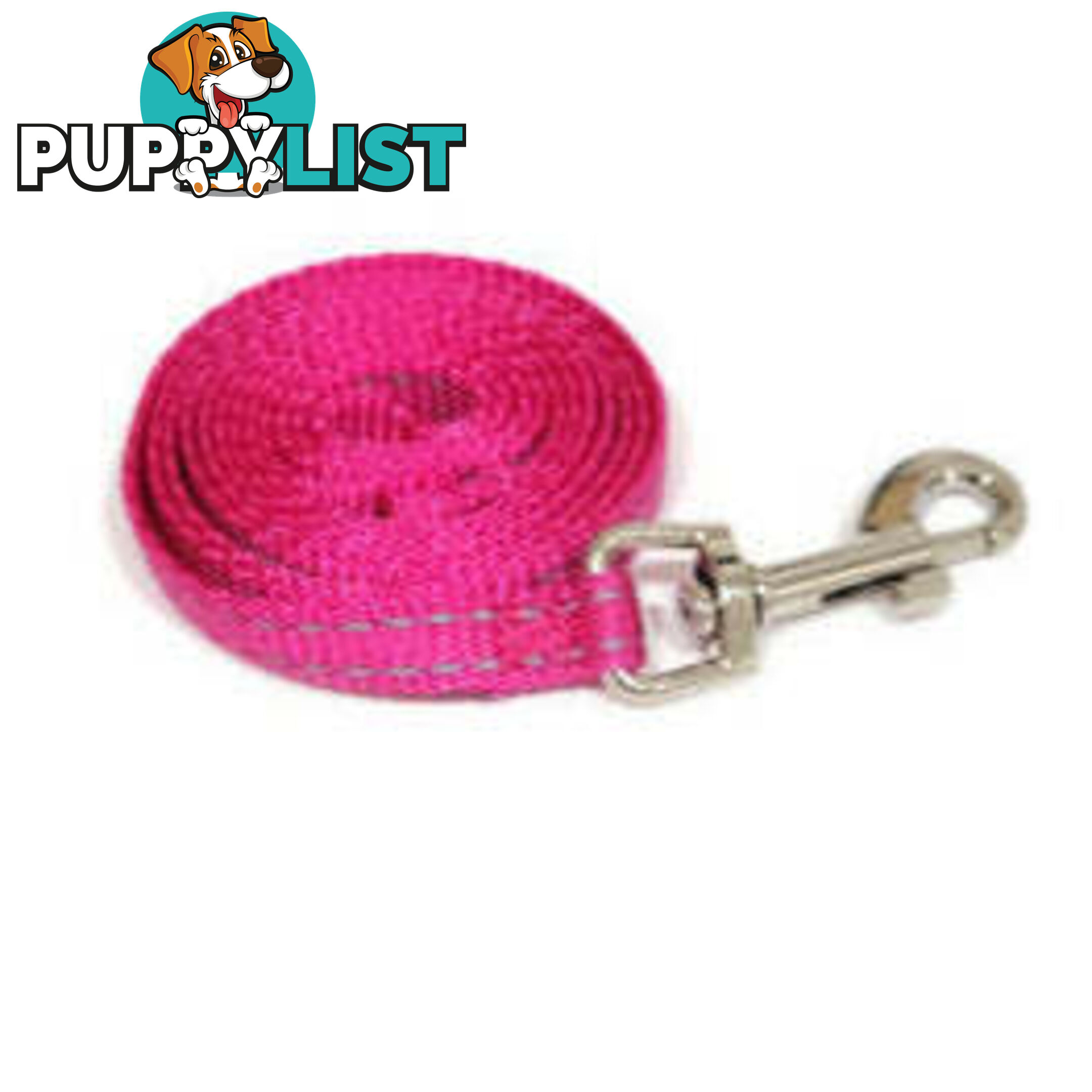 Lead Puppy / Cat Reflective- Moondidley Pets - MDPLDPUPGRN