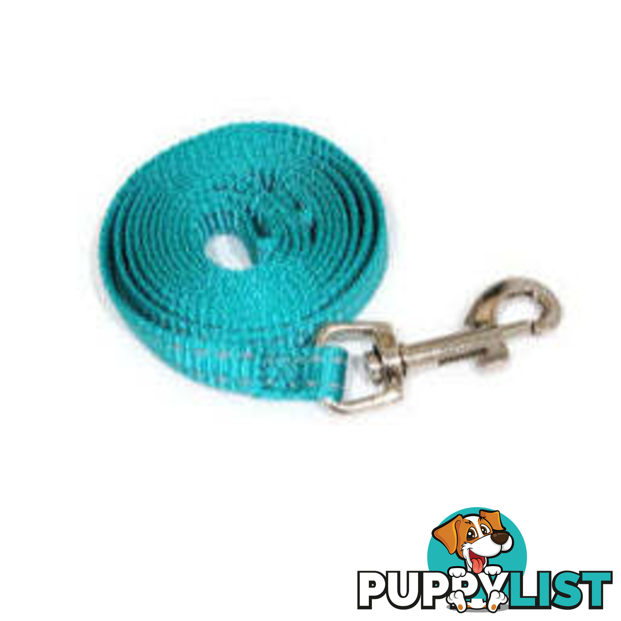 Lead Puppy / Cat Reflective- Moondidley Pets - MDPLDPUPGRN