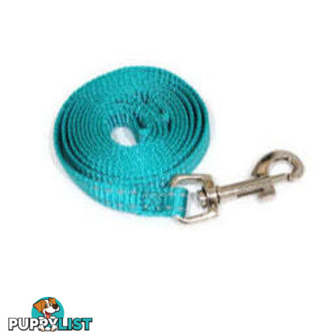 Lead Puppy / Cat Reflective- Moondidley Pets - MDPLDPUPGRN