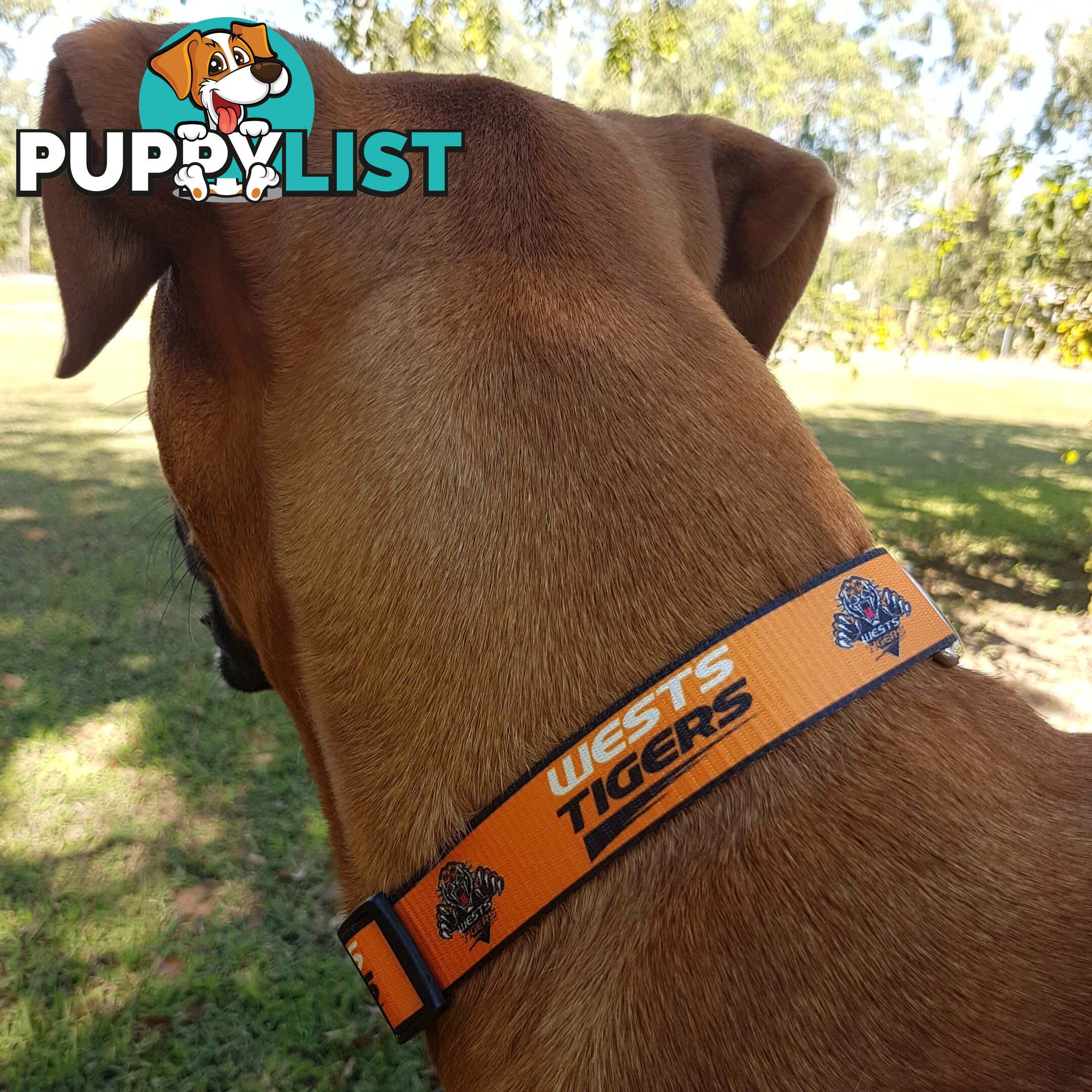 Dog Collars - NRL Footy Pets - FP-COL-M-ROO
