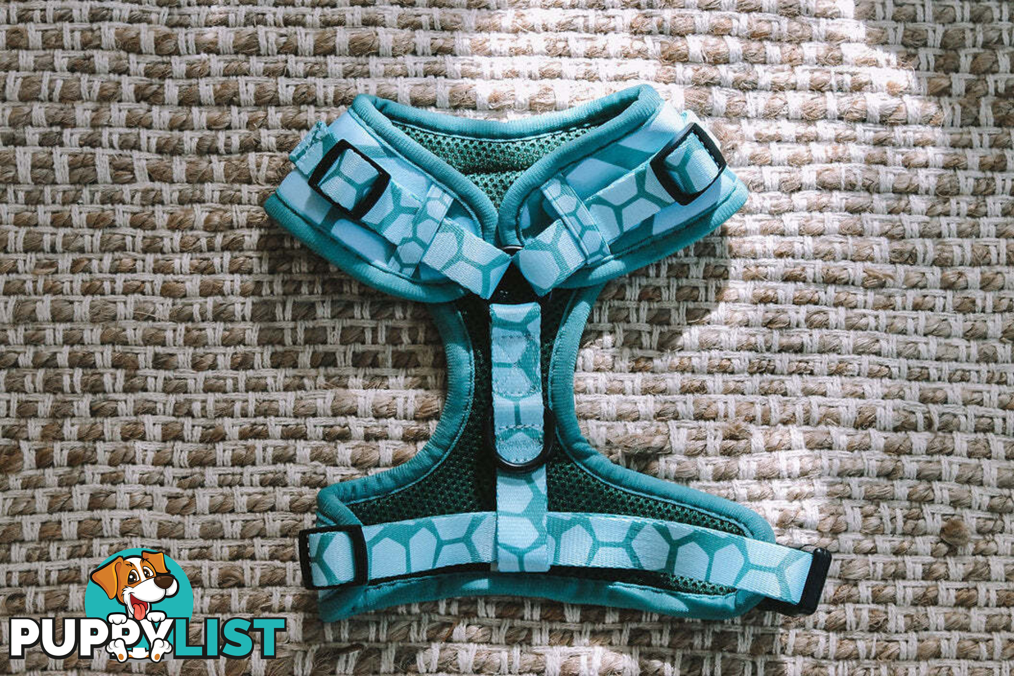 Designer Dog Harness by Explore with Paws - EWPHARTIGLN