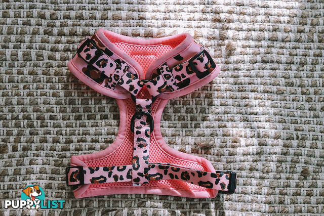 Designer Dog Harness by Explore with Paws - EWPHARTIGLN