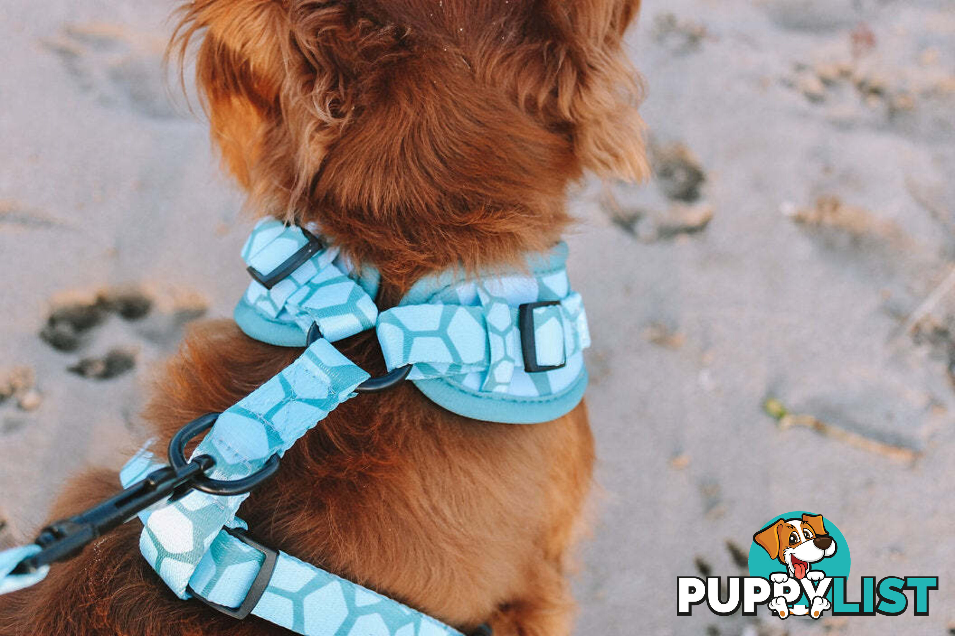 Designer Dog Harness by Explore with Paws - EWPHARTIGLN