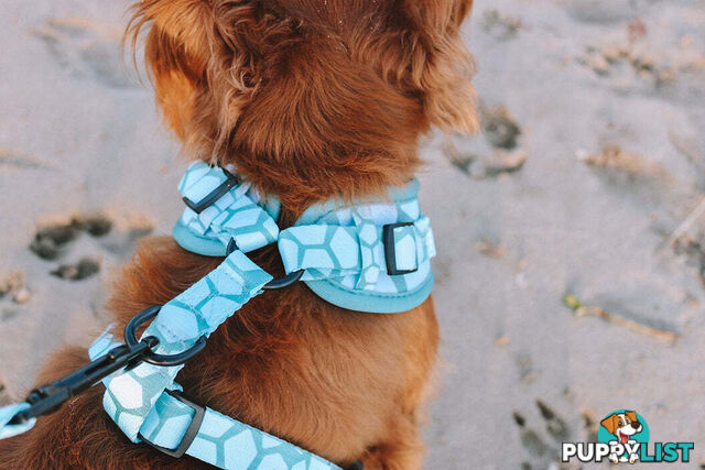 Designer Dog Harness by Explore with Paws - EWPHARTIGLN