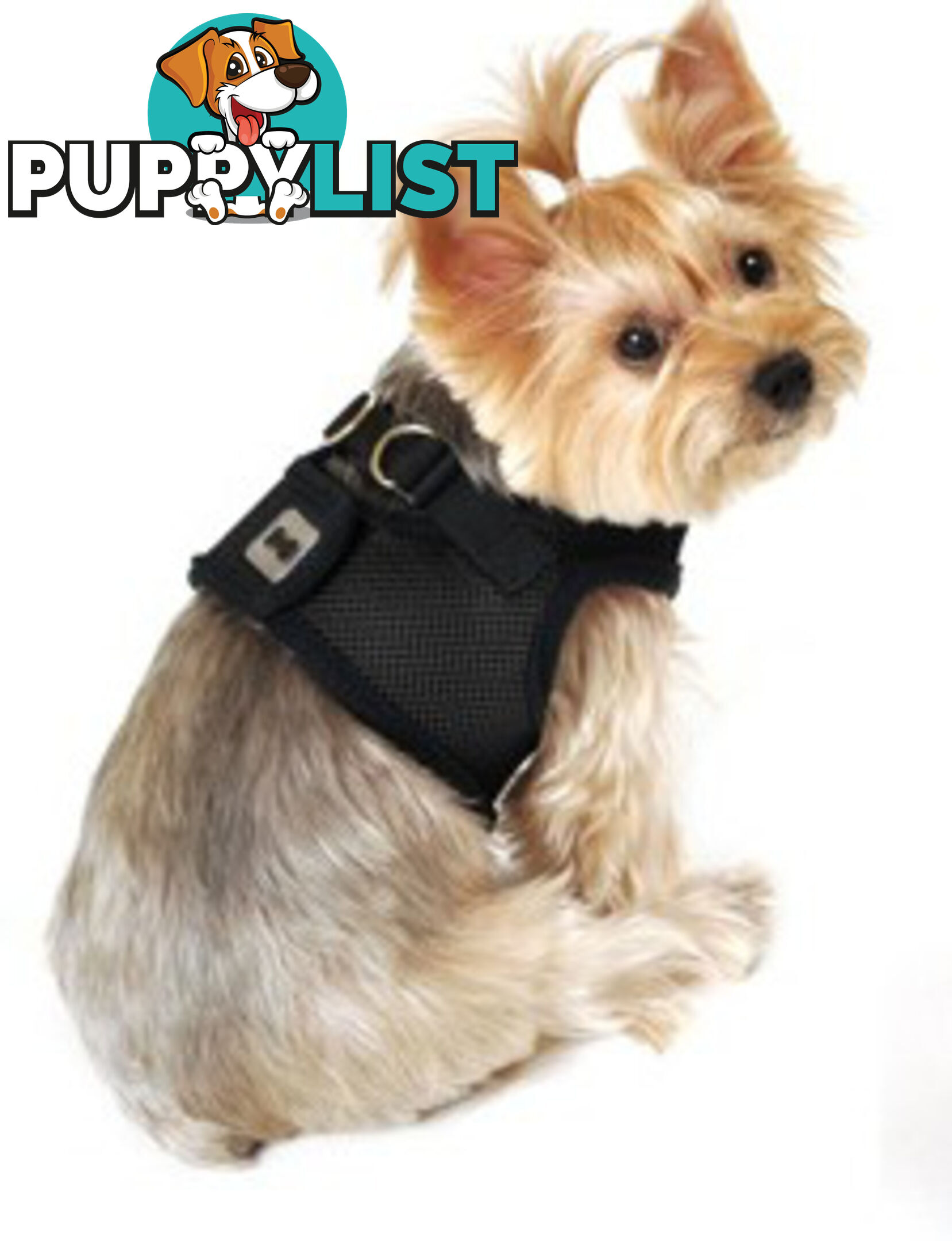 Vest Harness Pet Dog-Cat Step-in Velcro and Buckle Attachments - Moondidley Pets - MDPVESTXSPUR
