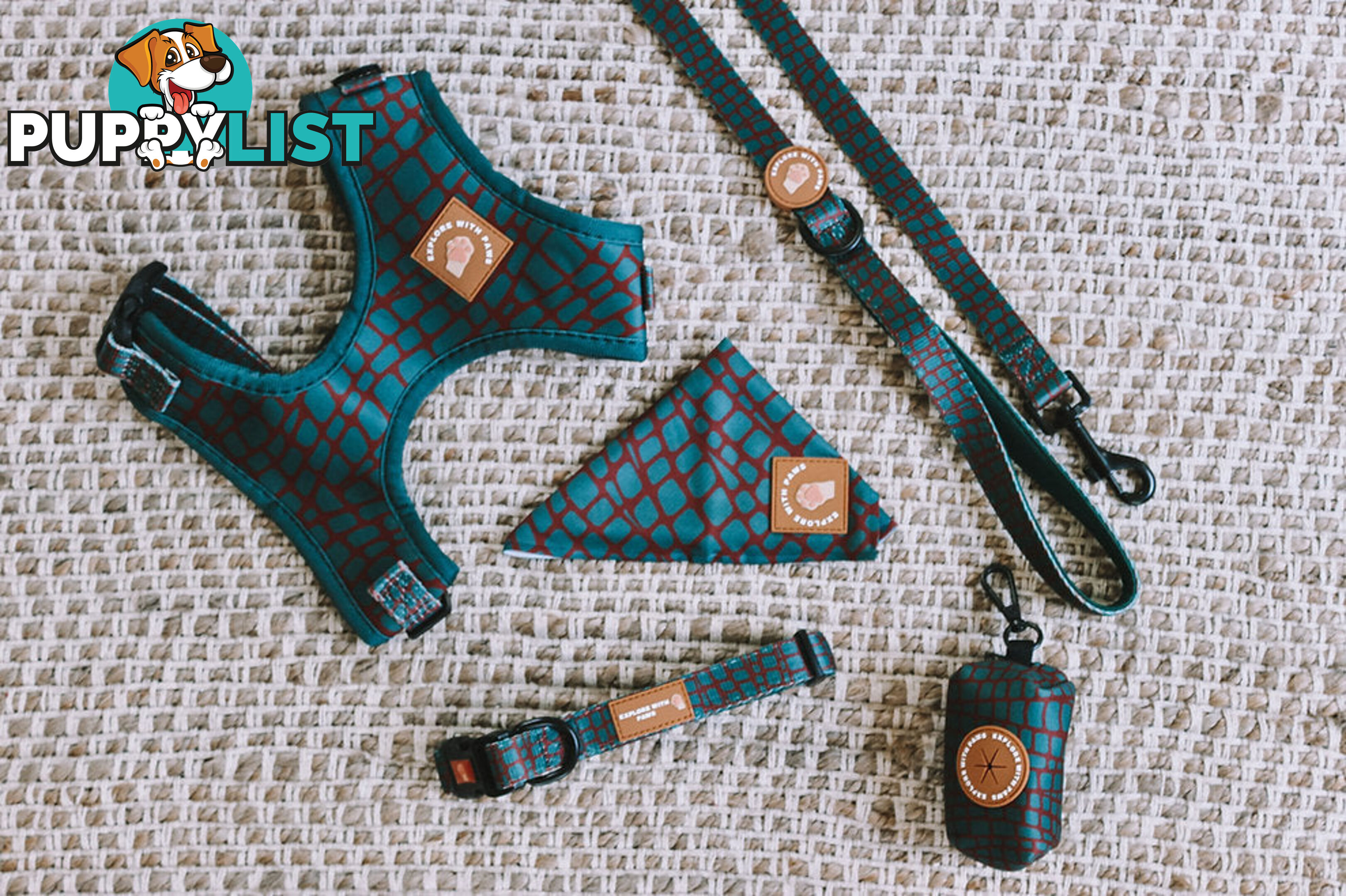 Designer Dog Collars by Explore with Paws - EWPCOLMTURN