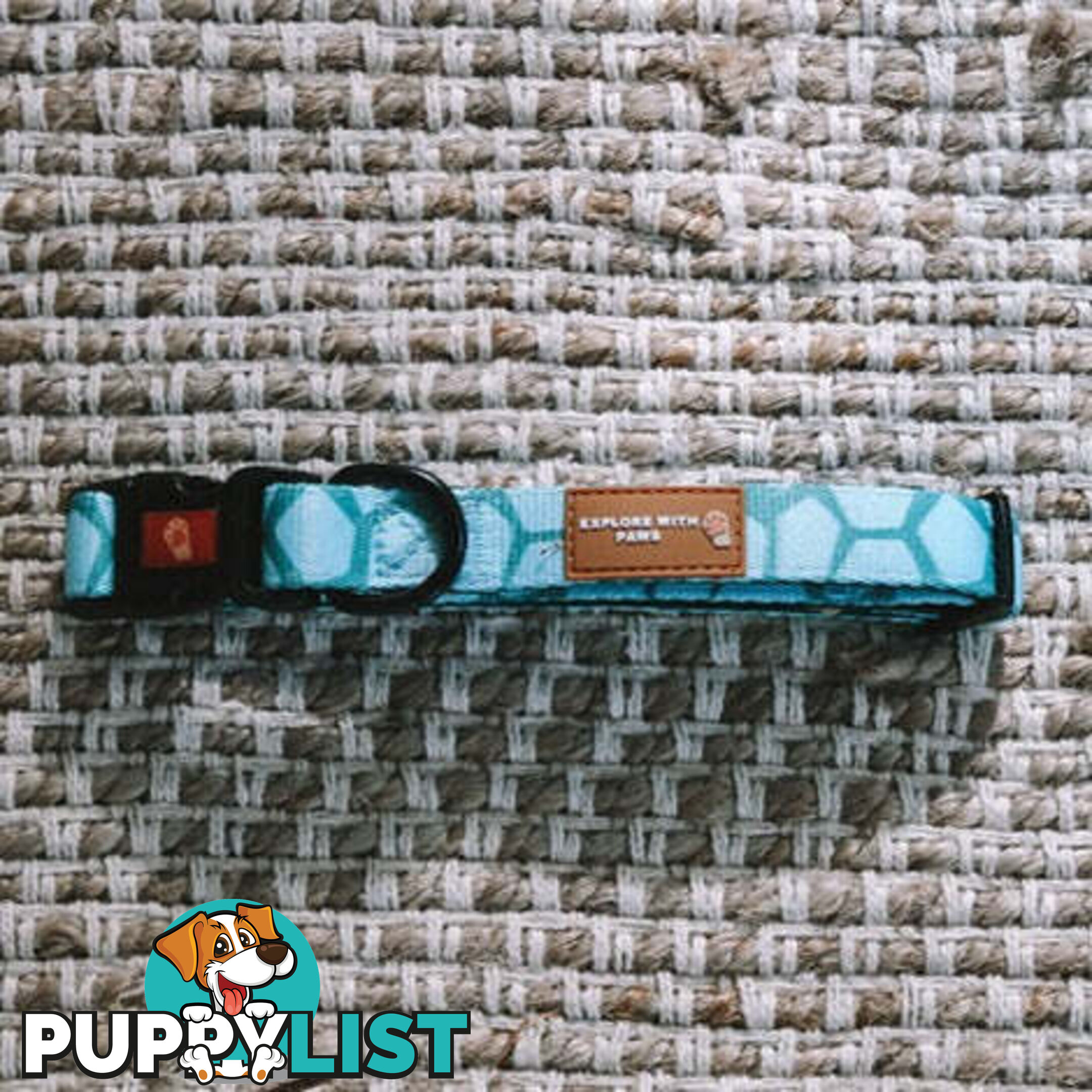Designer Dog Collars by Explore with Paws - EWPCOLMTURN
