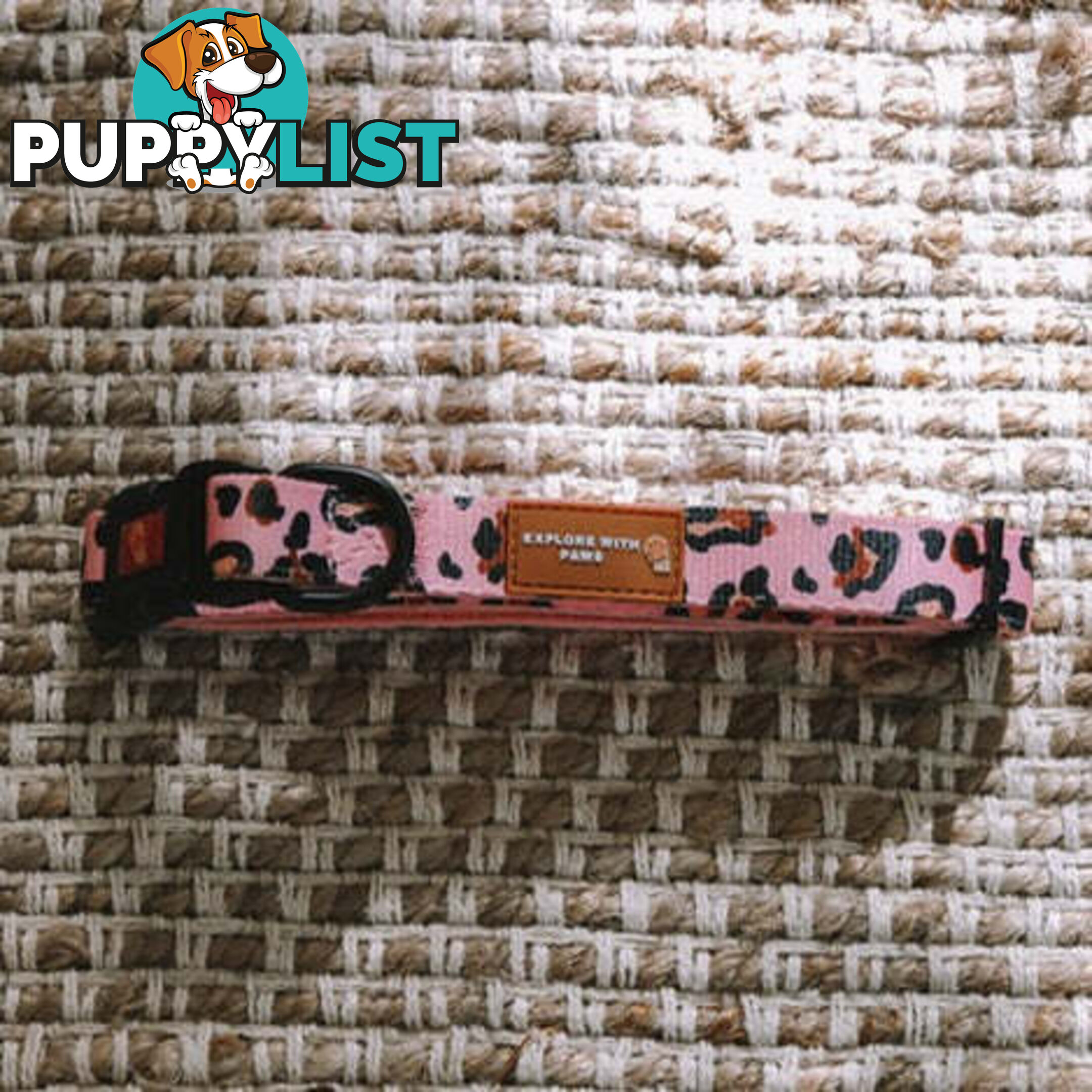 Designer Dog Collars by Explore with Paws - EWPCOLMTURN