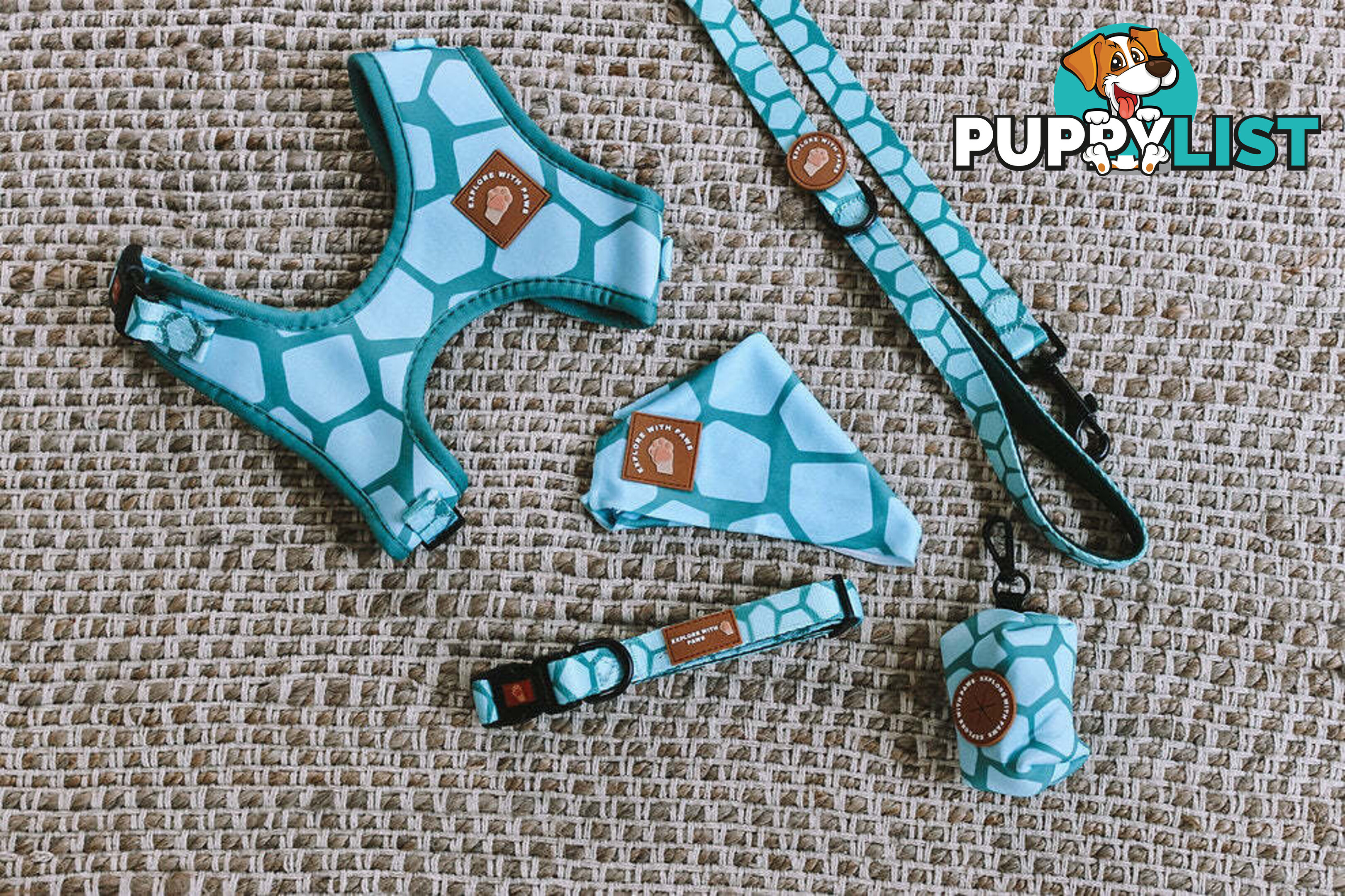 Designer Dog Collars by Explore with Paws - EWPCOLMTURN