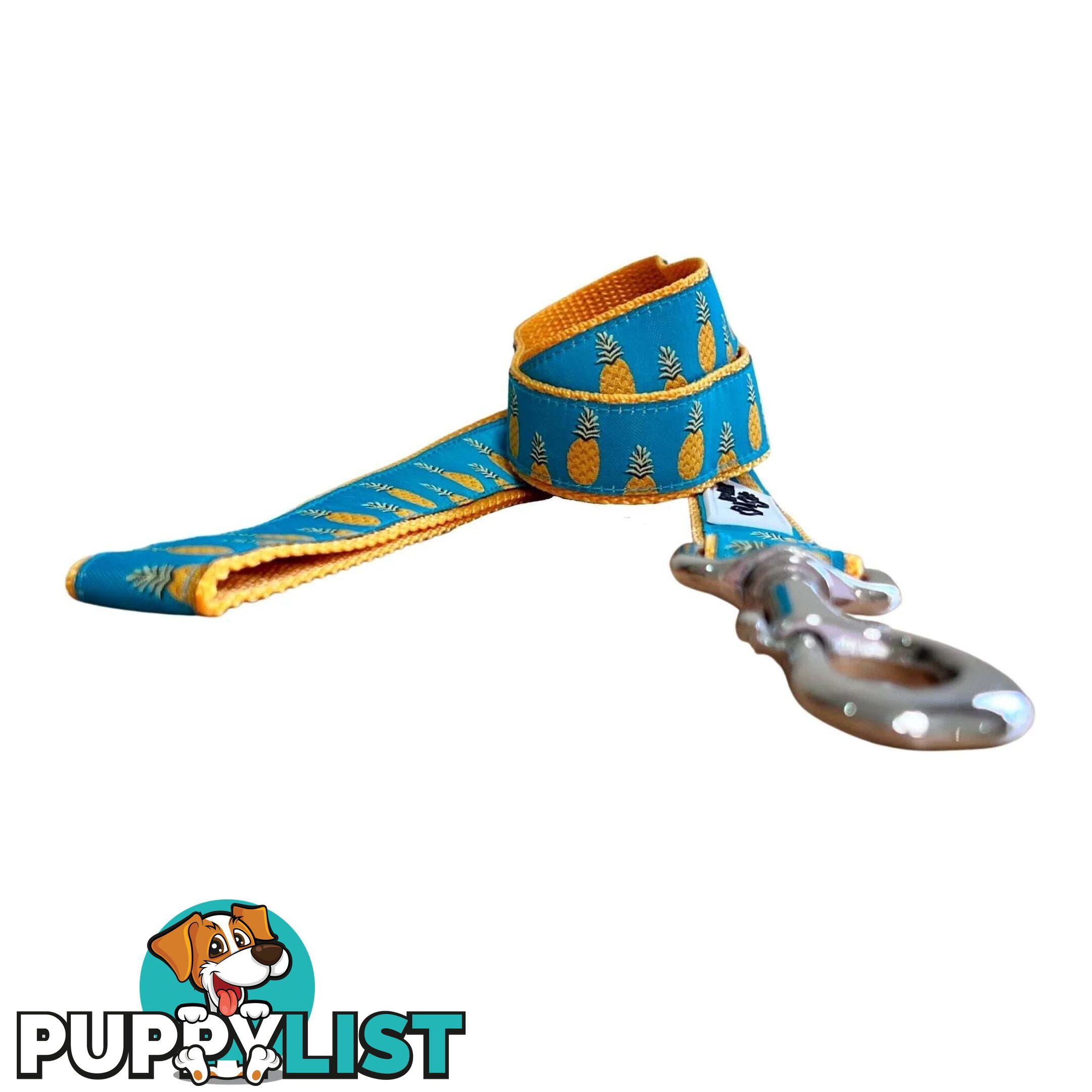 Pineapple Dog Lead - Hand Made by The Bark Side - TBSLDPINE201.2