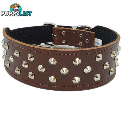 Staffy Leather Studded Dog Collar - Beau Pets - JPP-1055-BLK