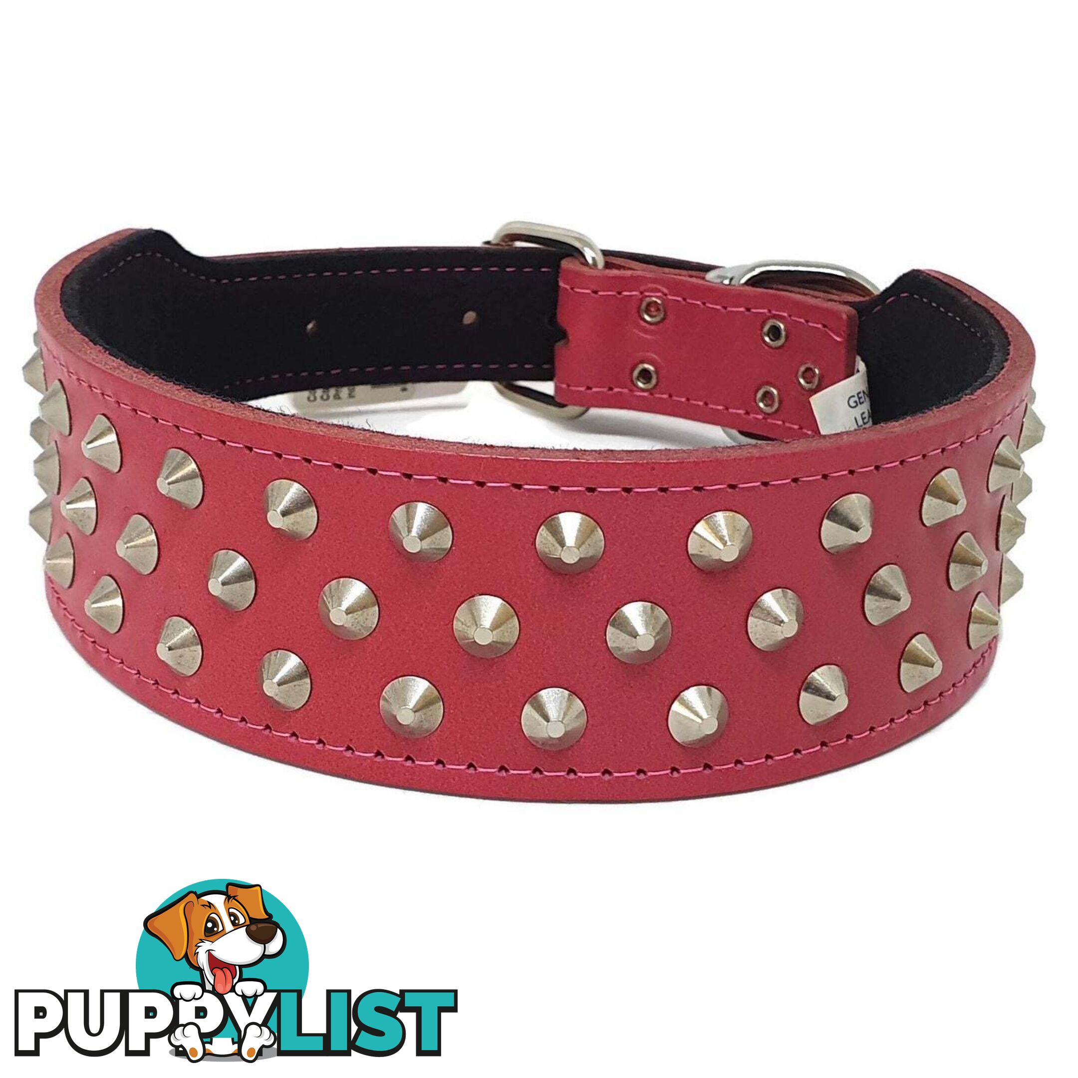 Staffy Leather Studded Dog Collar - Beau Pets - JPP-1055-BLK