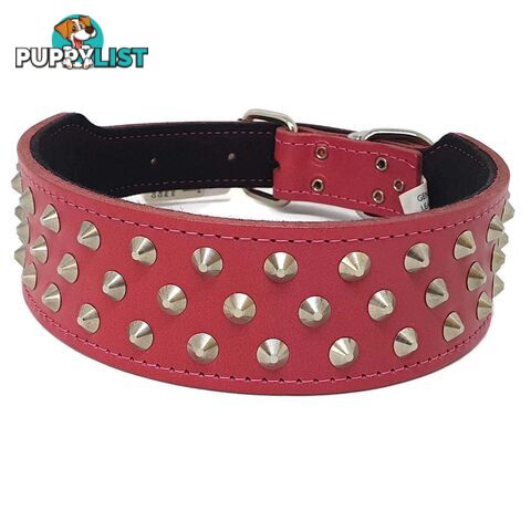 Staffy Leather Studded Dog Collar - Beau Pets - JPP-1055-BLK