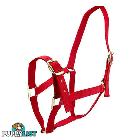 Click to Enlarge HORSE HALTERS - BAINBRIDGE - BB-A2201-PNK