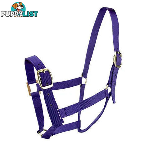 Click to Enlarge HORSE HALTERS - BAINBRIDGE - BB-A2201-PNK