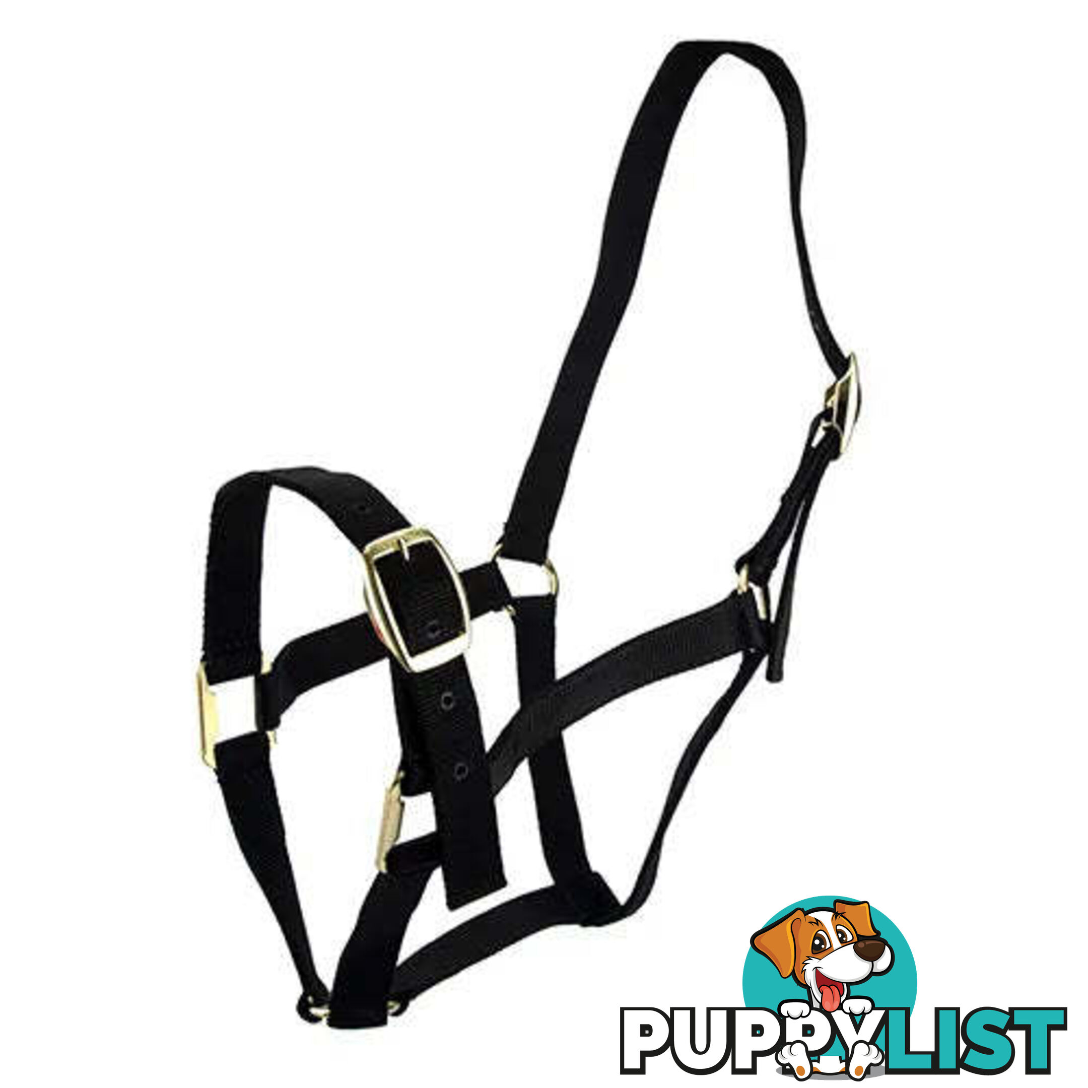 Click to Enlarge HORSE HALTERS - BAINBRIDGE - BB-A2201-PNK