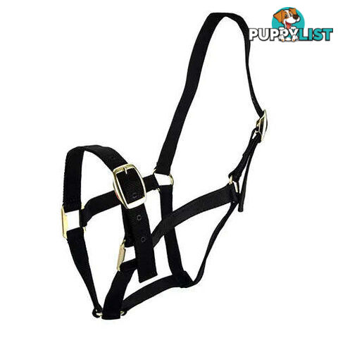 Click to Enlarge HORSE HALTERS - BAINBRIDGE - BB-A2201-PNK