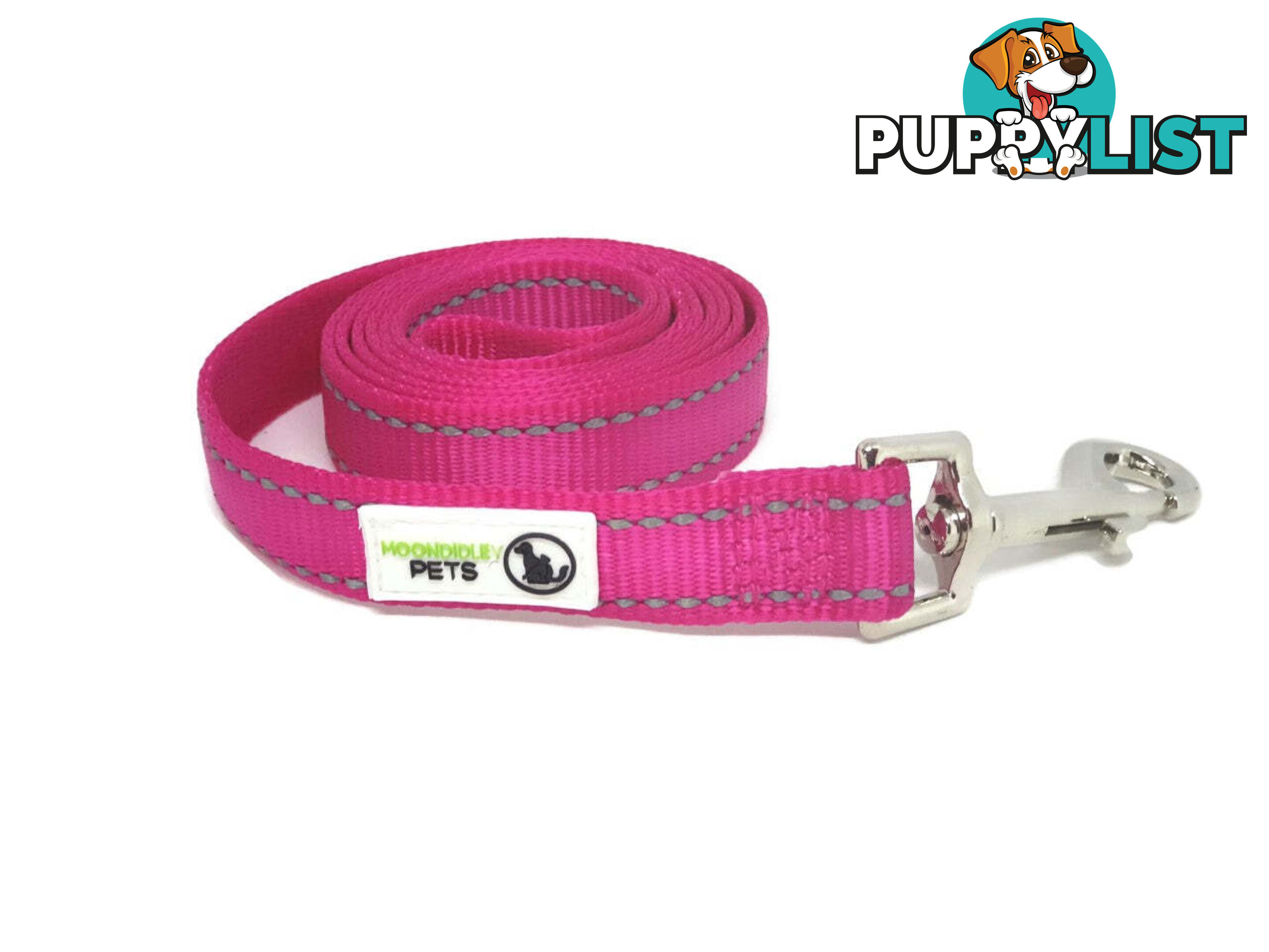 1.2m Nylon w/Reflective Stitching Dog Lead - Moondidley Pets - MDPLDREFLBLU251.2
