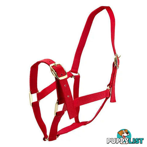 Click to Enlarge HORSE HALTERS - BAINBRIDGE - BB-A2202-PUR