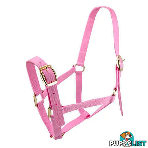 Click to Enlarge HORSE HALTERS - BAINBRIDGE - BB-A2202-PUR
