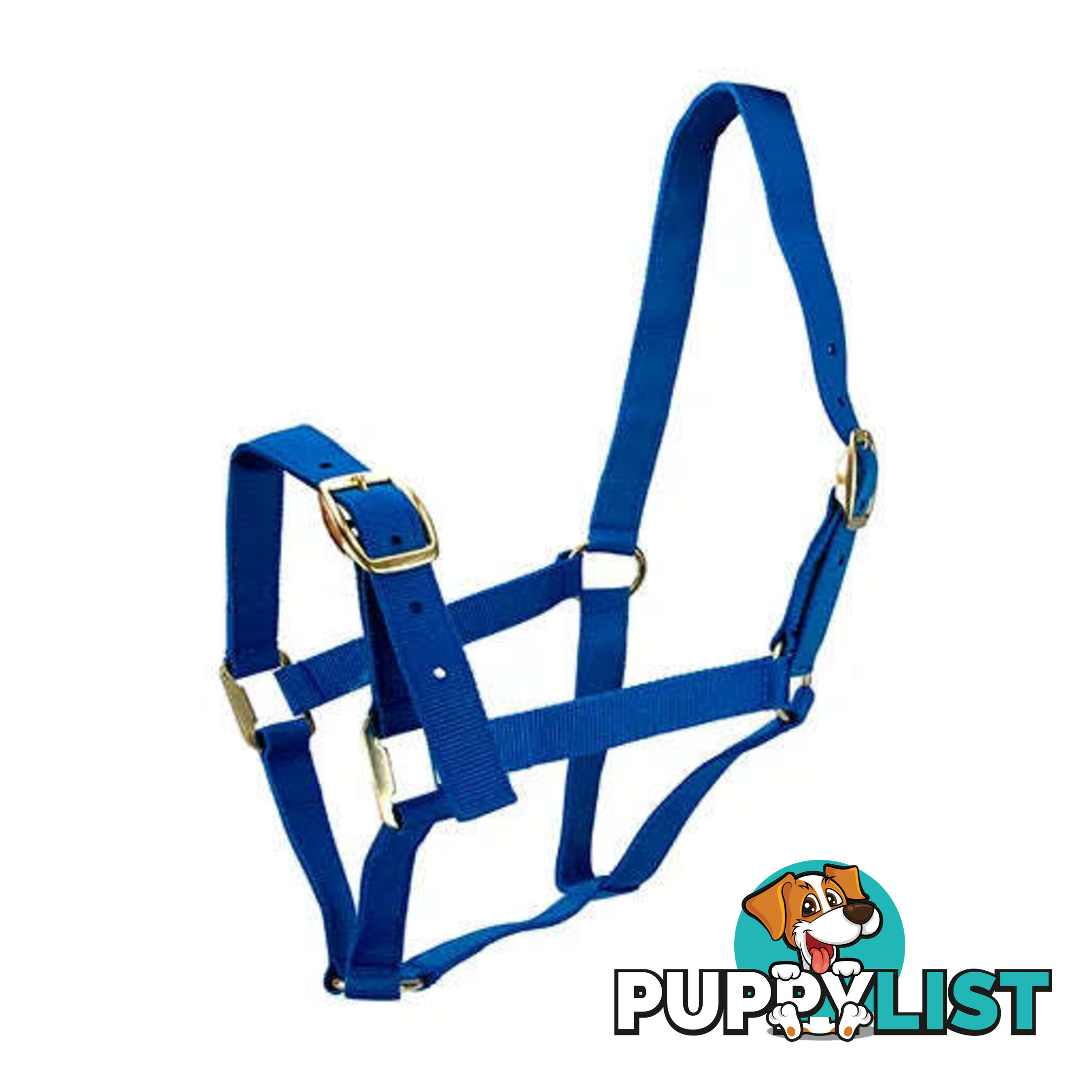 Click to Enlarge HORSE HALTERS - BAINBRIDGE - BB-A2202-PUR