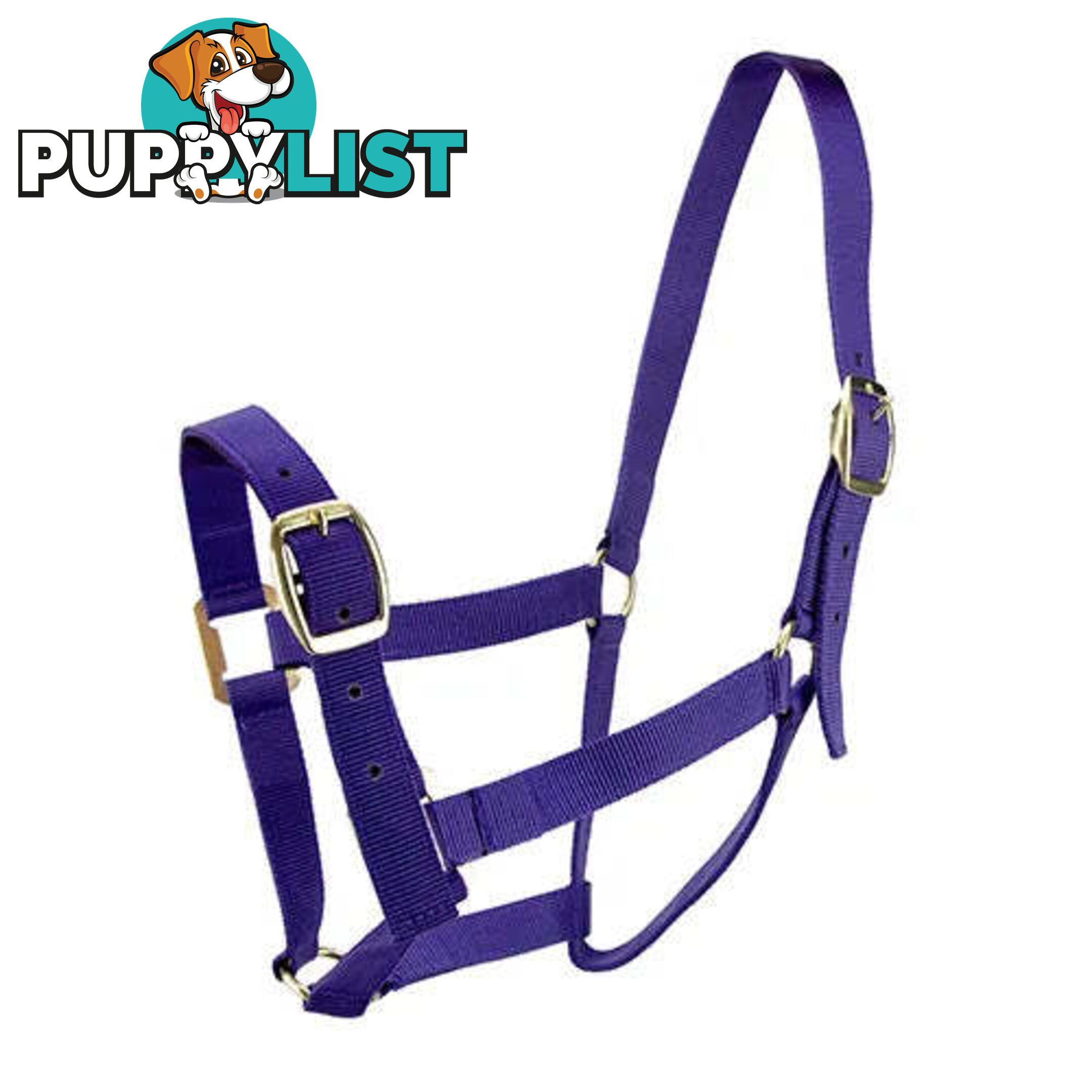 Click to Enlarge HORSE HALTERS - BAINBRIDGE - BB-A2202-PUR