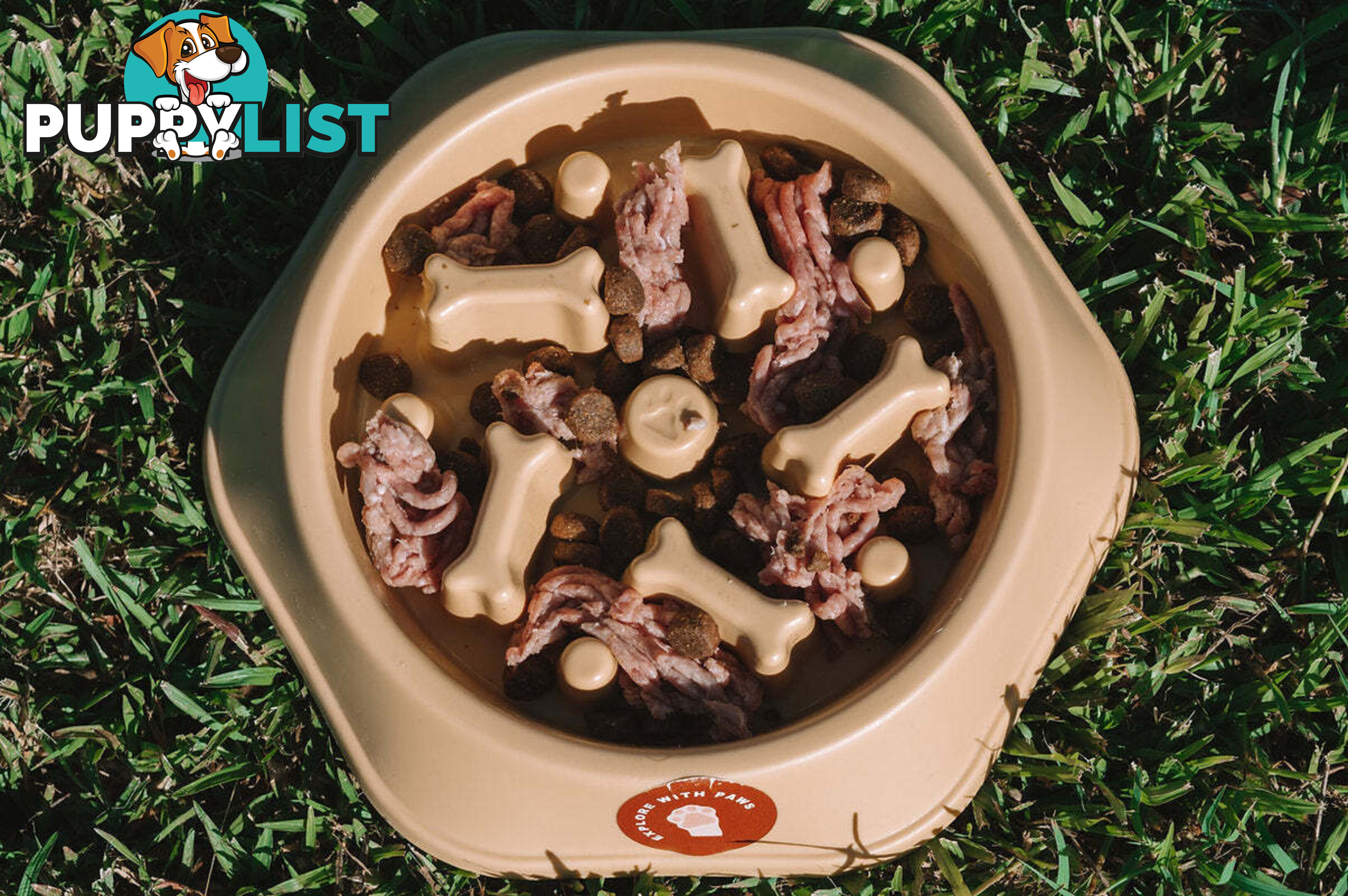 Slow Feeder Bowl - Explore with Paws - EWPSLOBOWYEL