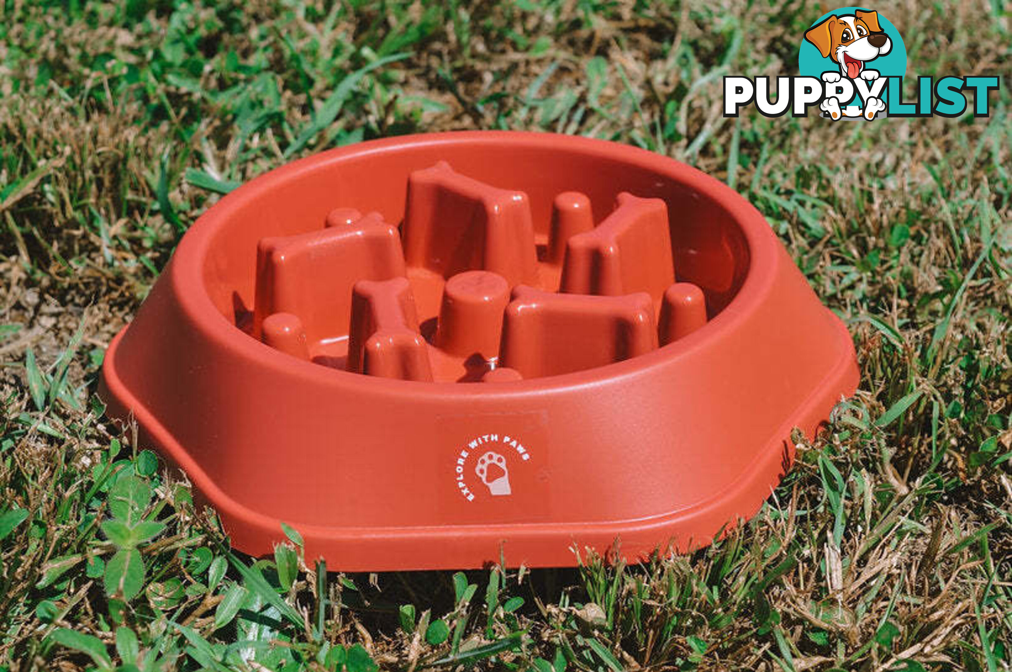 Slow Feeder Bowl - Explore with Paws - EWPSLOBOWYEL