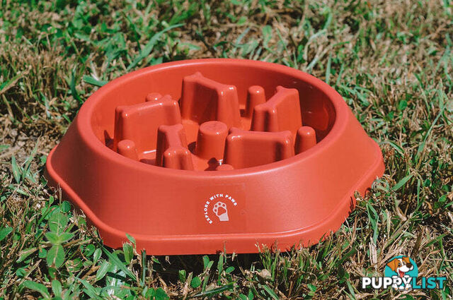 Slow Feeder Bowl - Explore with Paws - EWPSLOBOWYEL