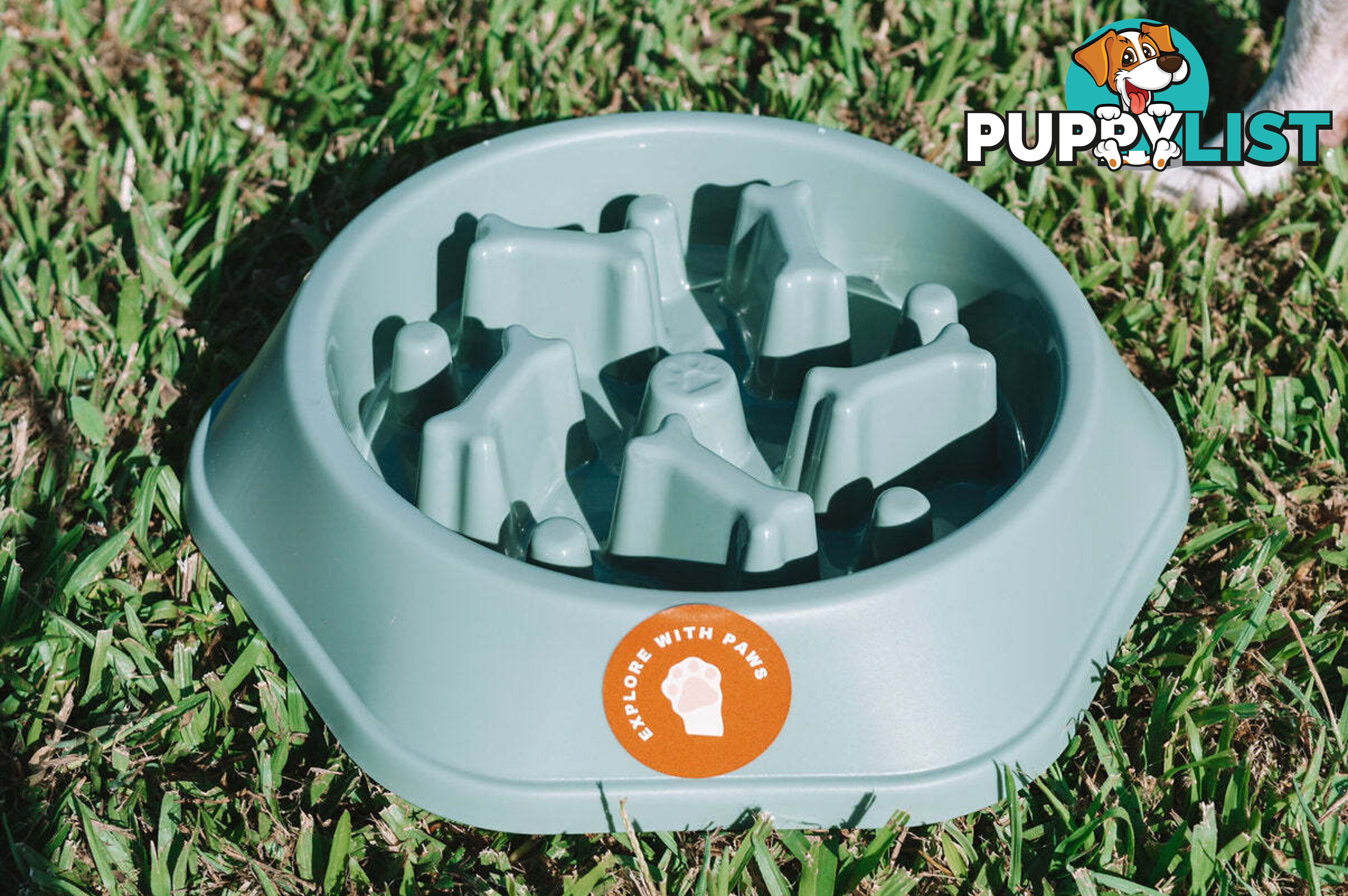 Slow Feeder Bowl - Explore with Paws - EWPSLOBOWYEL