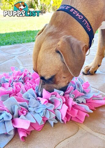 Snuffle Mats - Premium Heavy Duty Rubber Based - Pet Treat Play - Calms Anxiety - Slow Feeder - SNUFFLE-MED-PUNA