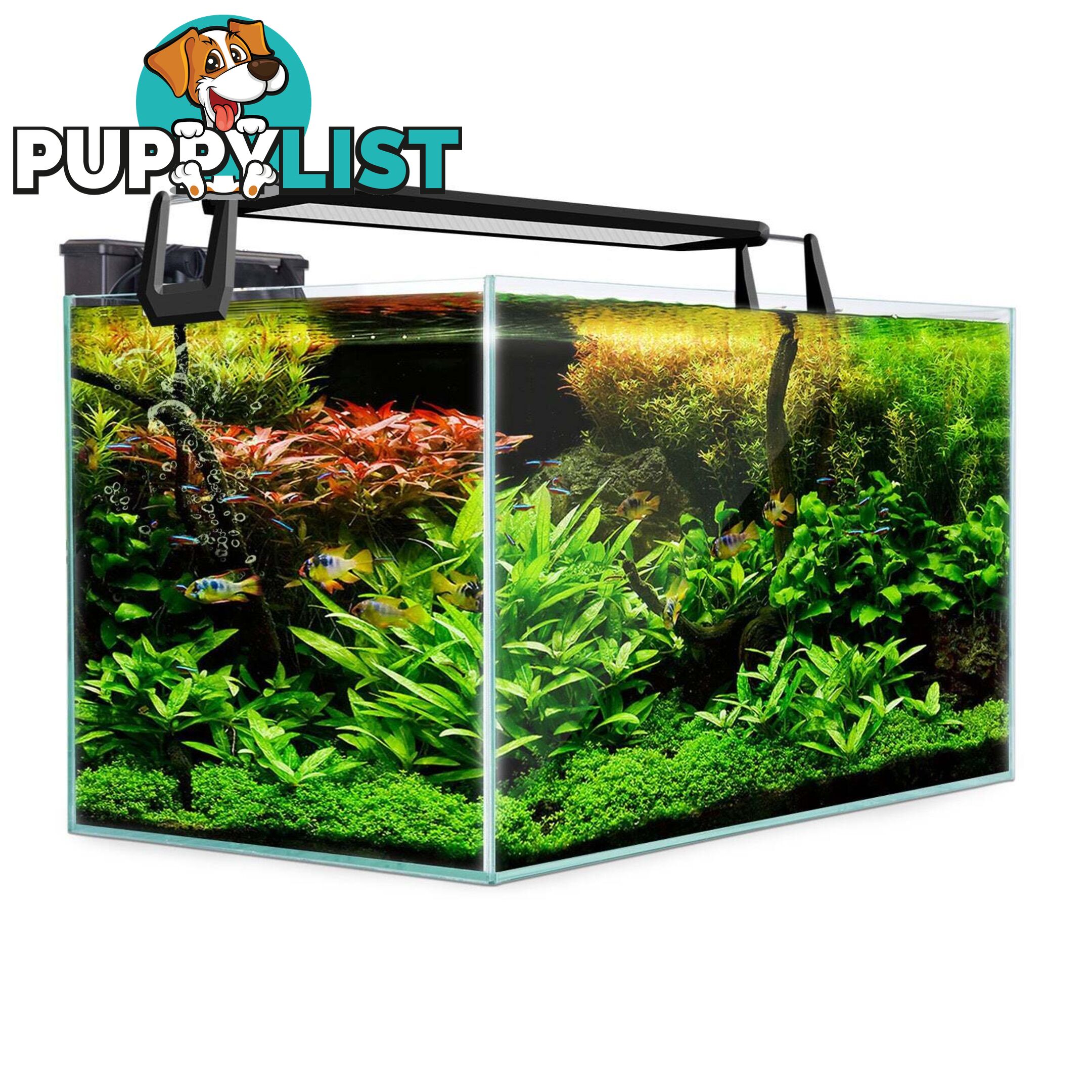 Aquarium Starfire Glass Fish Tank Set Filter Pump 70L - V274-AQ-FT70L