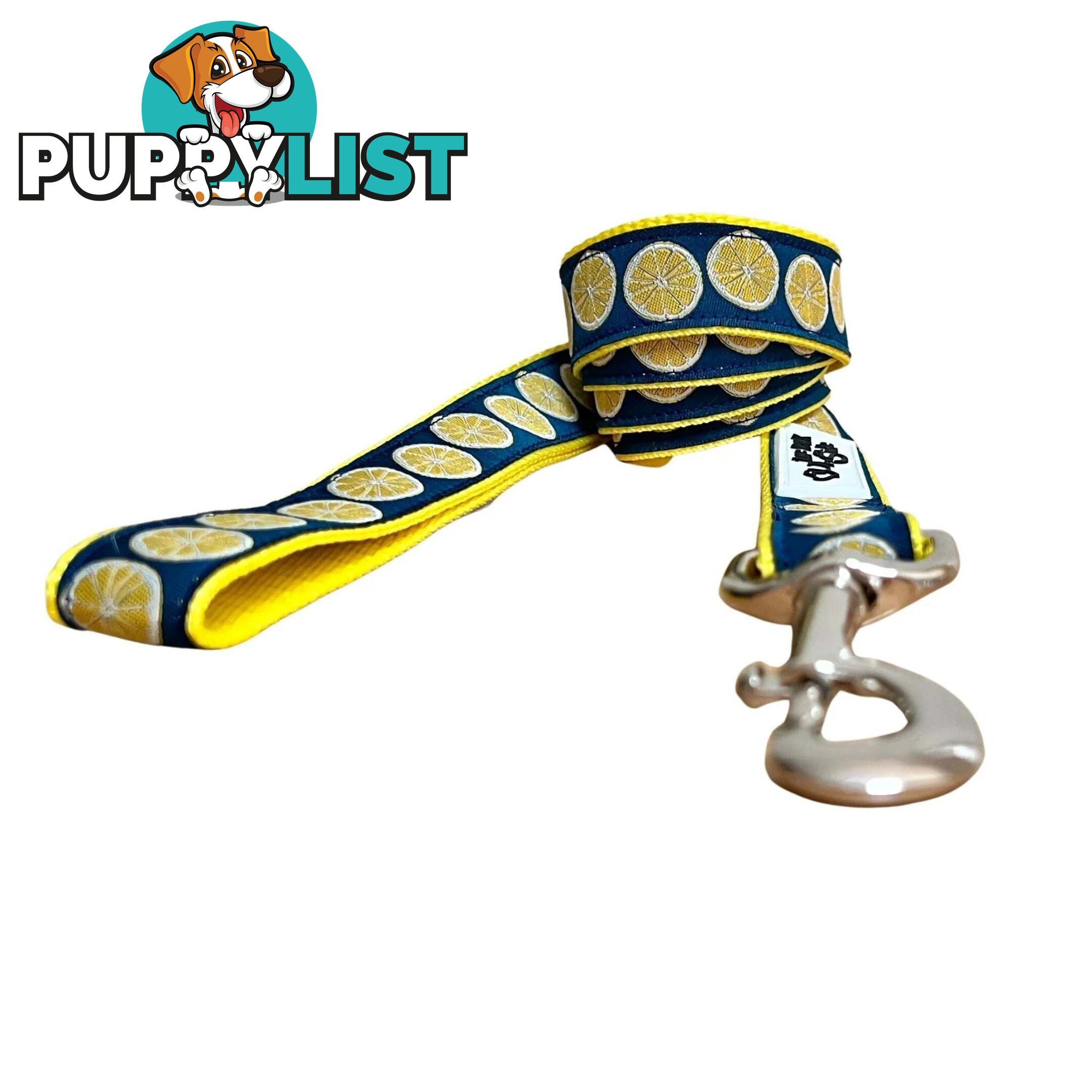 Lemon Dog Lead / Dog Leash - Hand Made by The Bark Side - TBSLDLEM251.5
